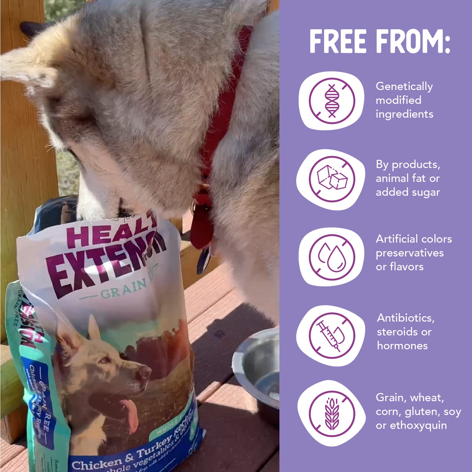 Health Extension Grain Free Chicken & Turkey Dry Dog Food (4 lb / 1.81 kg) - Whole Foods Ingredients Formula with a Blend of Tur
