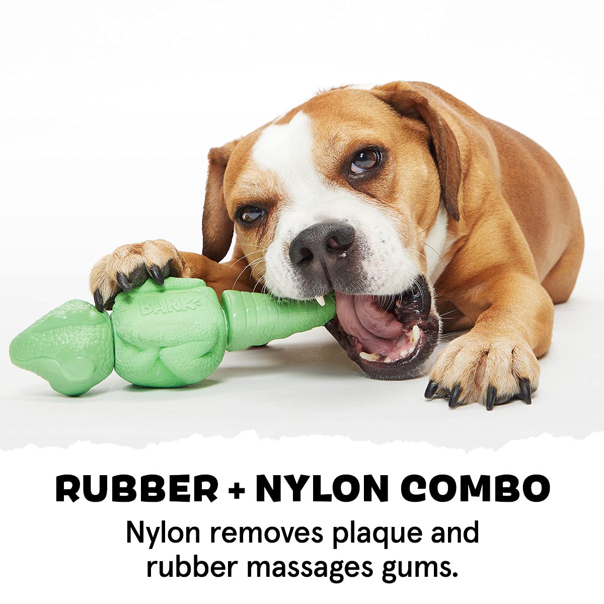 Barkbox Super Chewer Tough Dog Chew Toys For Aggressive Chewers, Dental Stimulating (Iguana - Large)