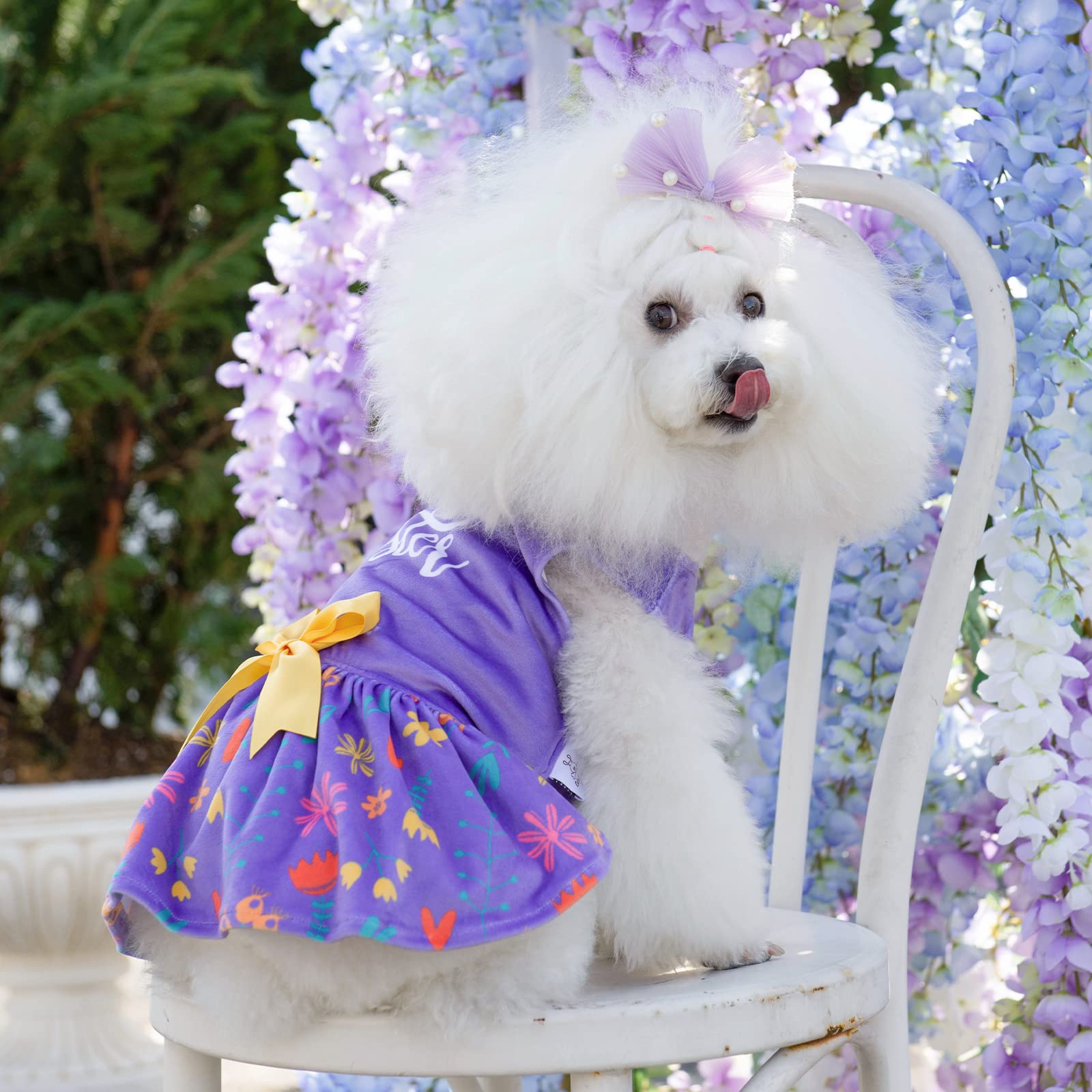 Cutebone Easter Dog Dress Velvet For Small Dogs Girl Flower Skirt Puppy Dresses Purple Dog Clothes Cva16S-D