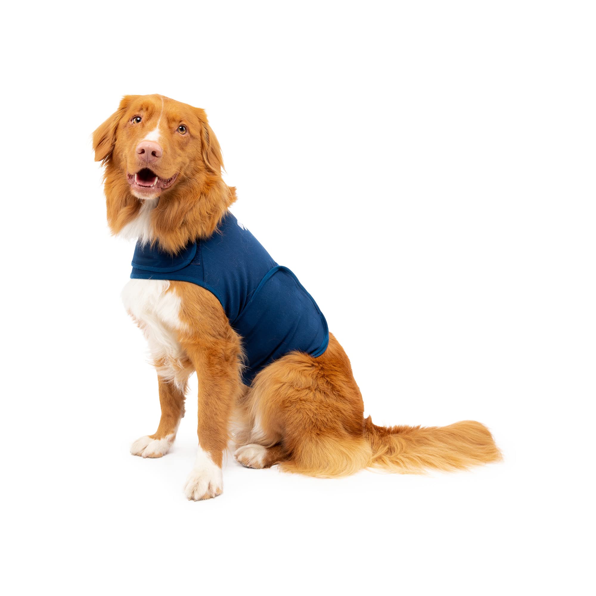 Mellow Shirt Dog Anxiety Wrap, Small