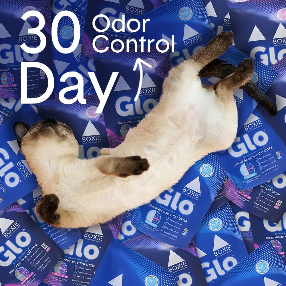 BoxiePro Clumping Cat Litter, 30 Day Odor Control, 99.9% Dust-Free, 40 lb, Blue, Model 167, Clay Material