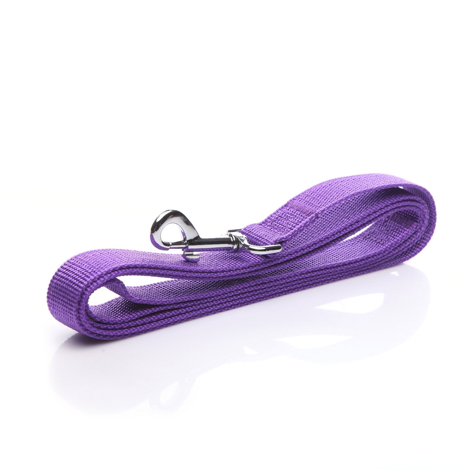 Nylon Dog Leash 4 Ft 5 Feet 6 Foot Long, Walking Training Dog Leashes For Medium Large Dogs, 1 Inch Wide(4Ft, Purple)