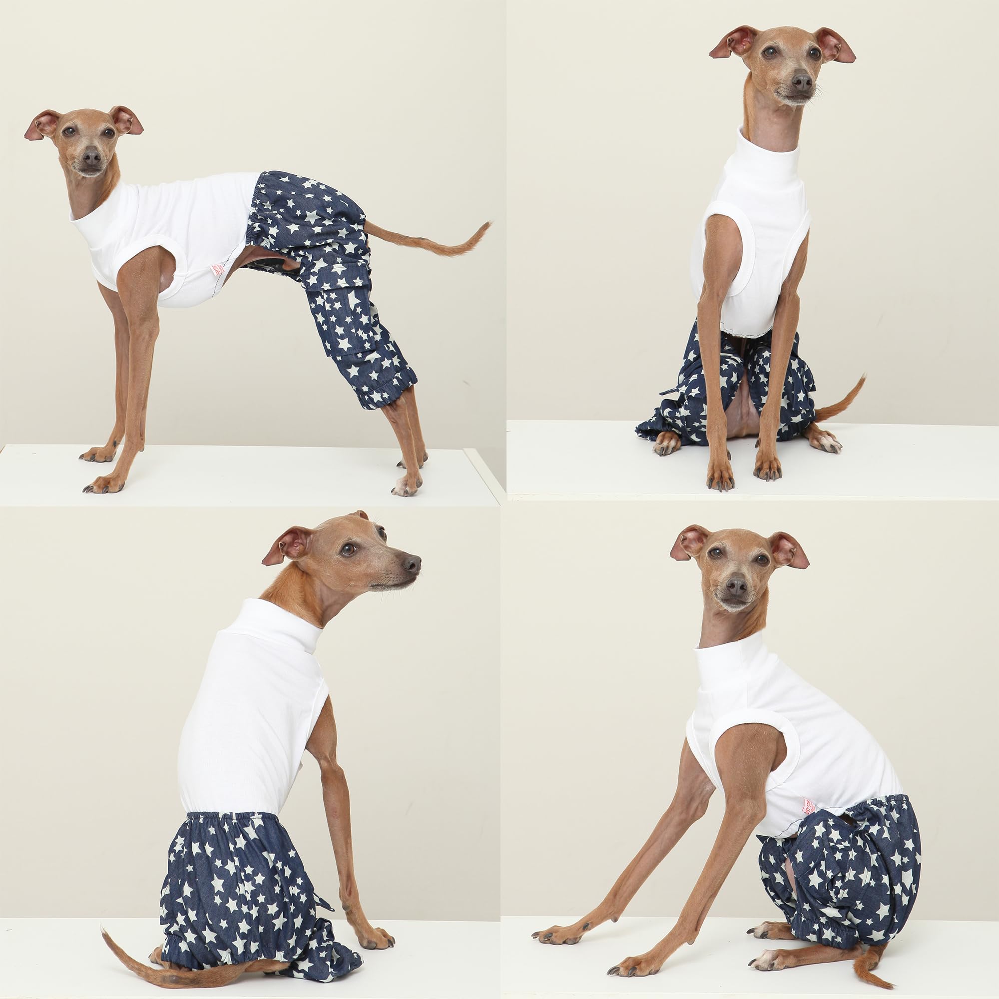 D DOGGY STAR Italian Greyhound Clothes Cargo Pants Onesie Outfit Whippet for Dog Coat (2XL,DNM Star Cargo)