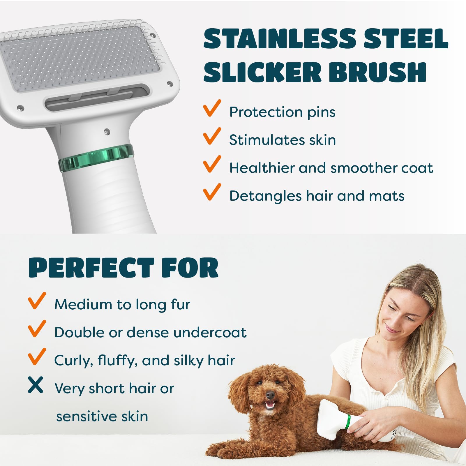 2-In-1 Dog Hair Dryer With Slicker Brush For Small-Sized Dogs And Cats | Pet Hair Dryer | Dog Blow Dryer | 300 Watts, 75-85 Db,