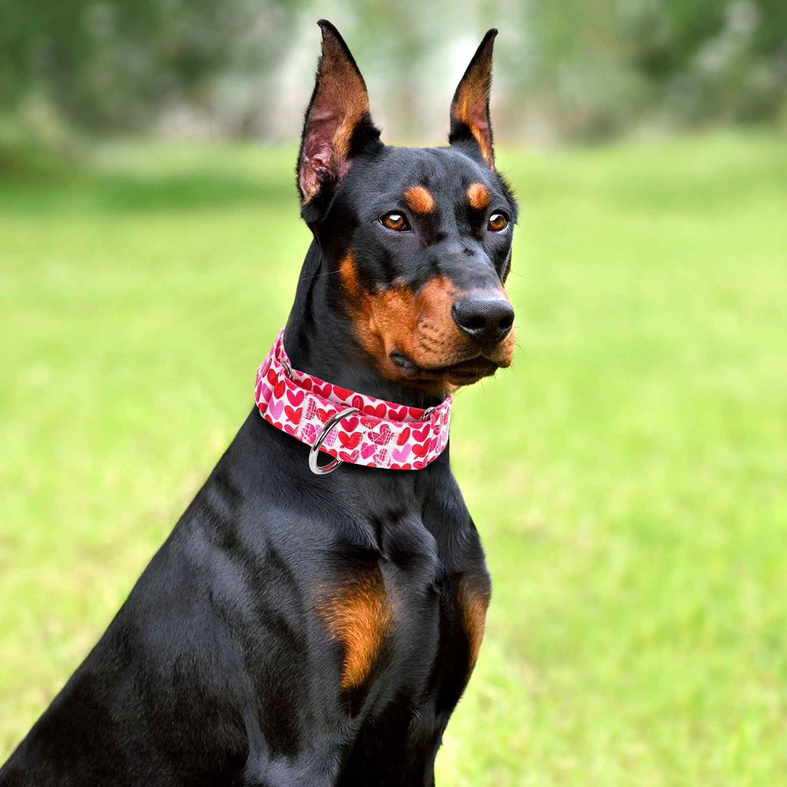 1.5 Inch Wide Martingale Dog Collar,Valentine'S Day Dog Collar Cute Loving Heart Printed Collar For Medium Large Extra Large Dog