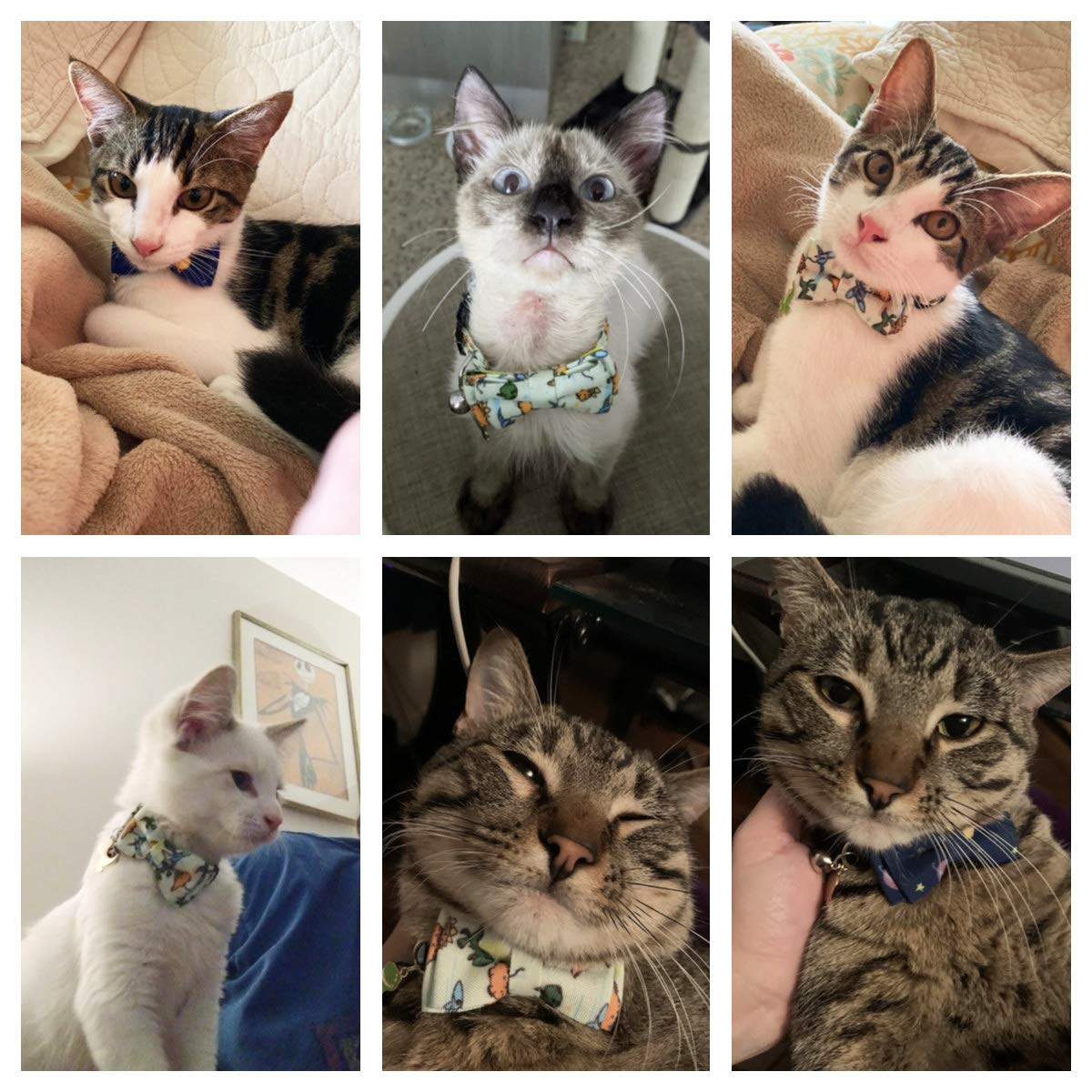 Adoggygo Cat Collar Breakaway With Cute Bow Tie Bell, 2 Pack Kitten Collar With Removable Bowtie, Universe Dinosaur Bowtie Colla