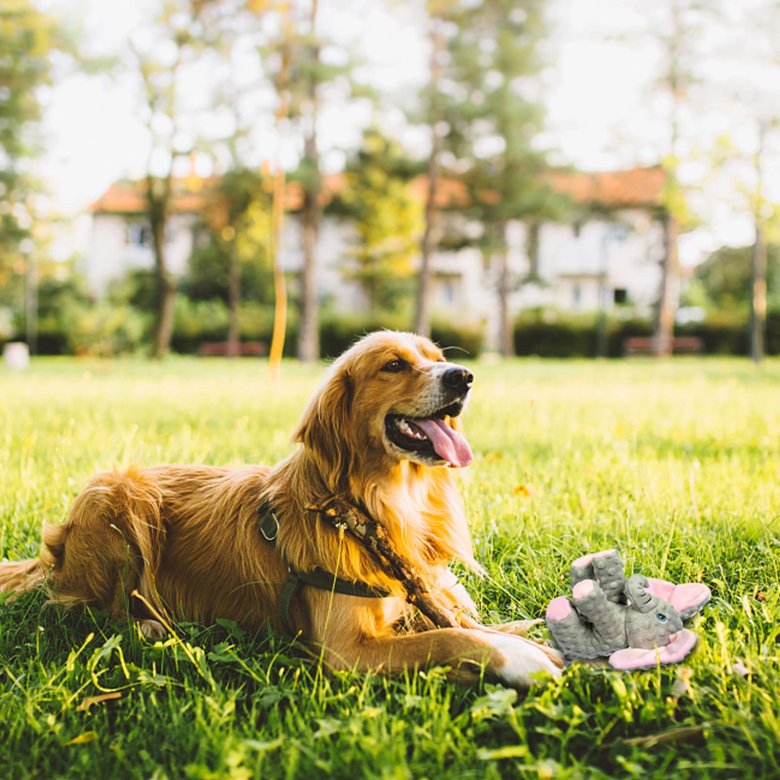 Dododola Dog Toys Puppy Toys Cute Squeaky Elephant Dog Toy With Crinkle Paper Stuffed Plush Animal Dog Toys To Keep Them Busy Fo