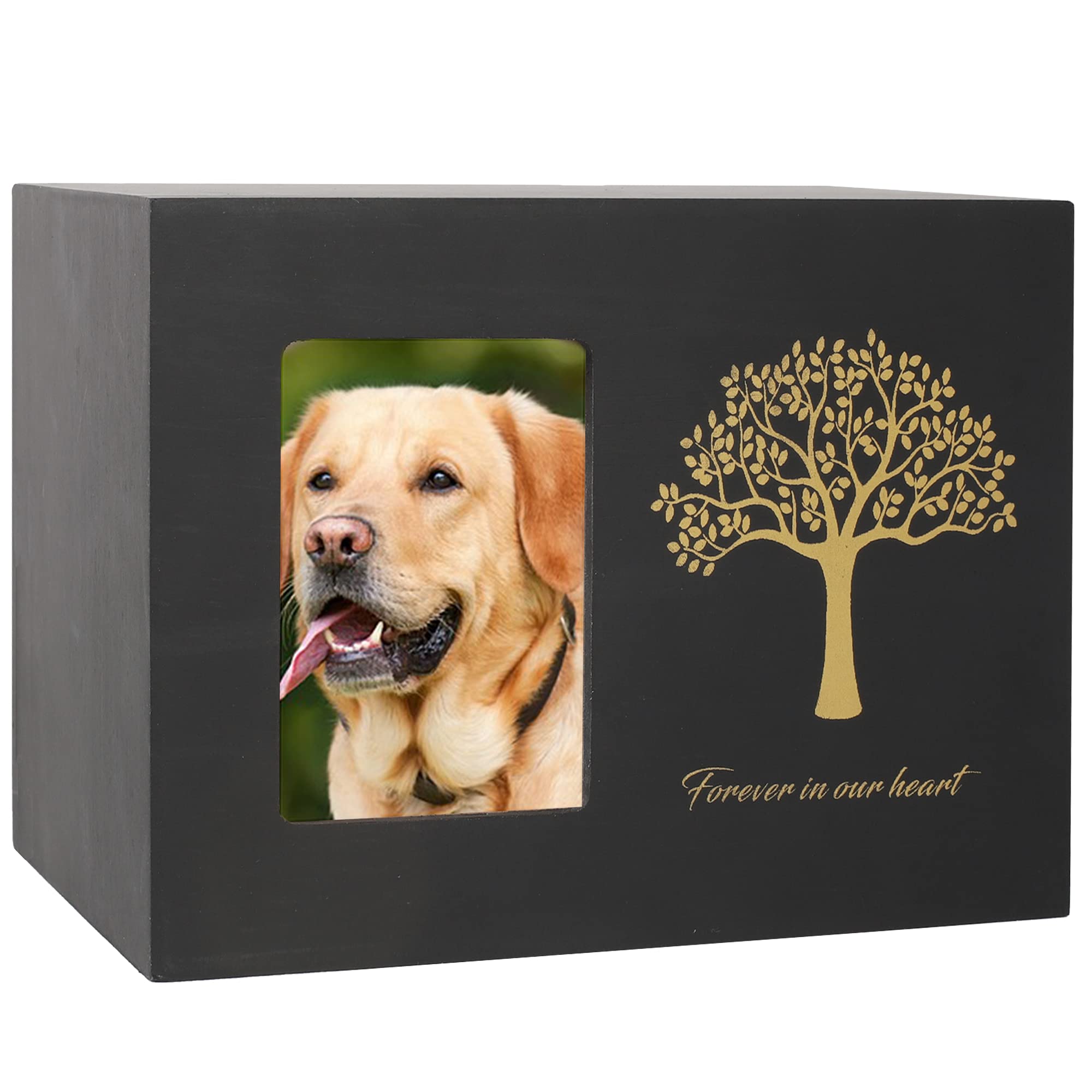Newdream: Medium Black Dog Urn For Ashes With Forever In Our Hearts,With Photos Suitable For Dogs Under 100 Lbs.