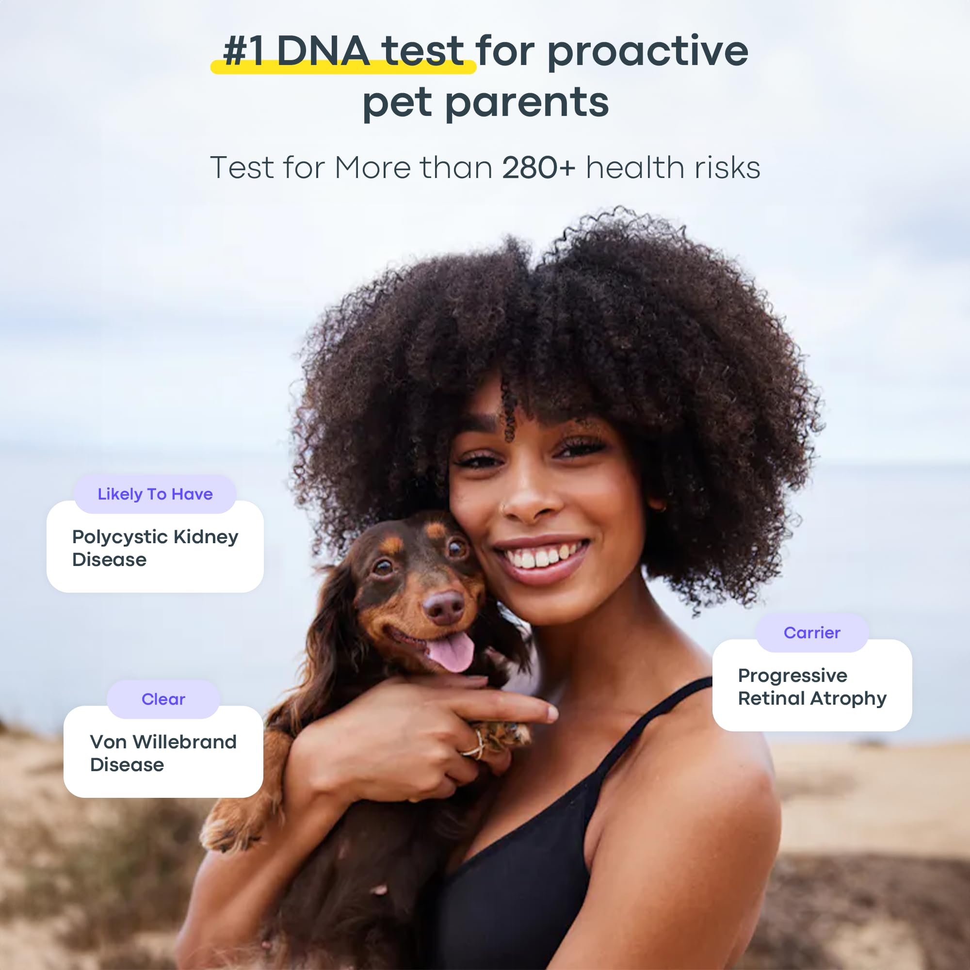 Basepaws Dog DNA Testing Kit - 300+ Breeds, 280+ Health Risks, Mixed Breed Identification, Canine Genetic Ancestry, Model DNAKIT