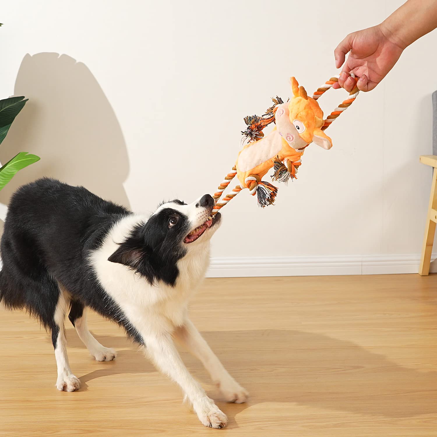 Sedioso Dog Toys, Tug Of War Dog Toy For Large Breed, Cute Squeaky Interactive Dog Toys With Crinkle Paper, Plush Dog Chew Toys