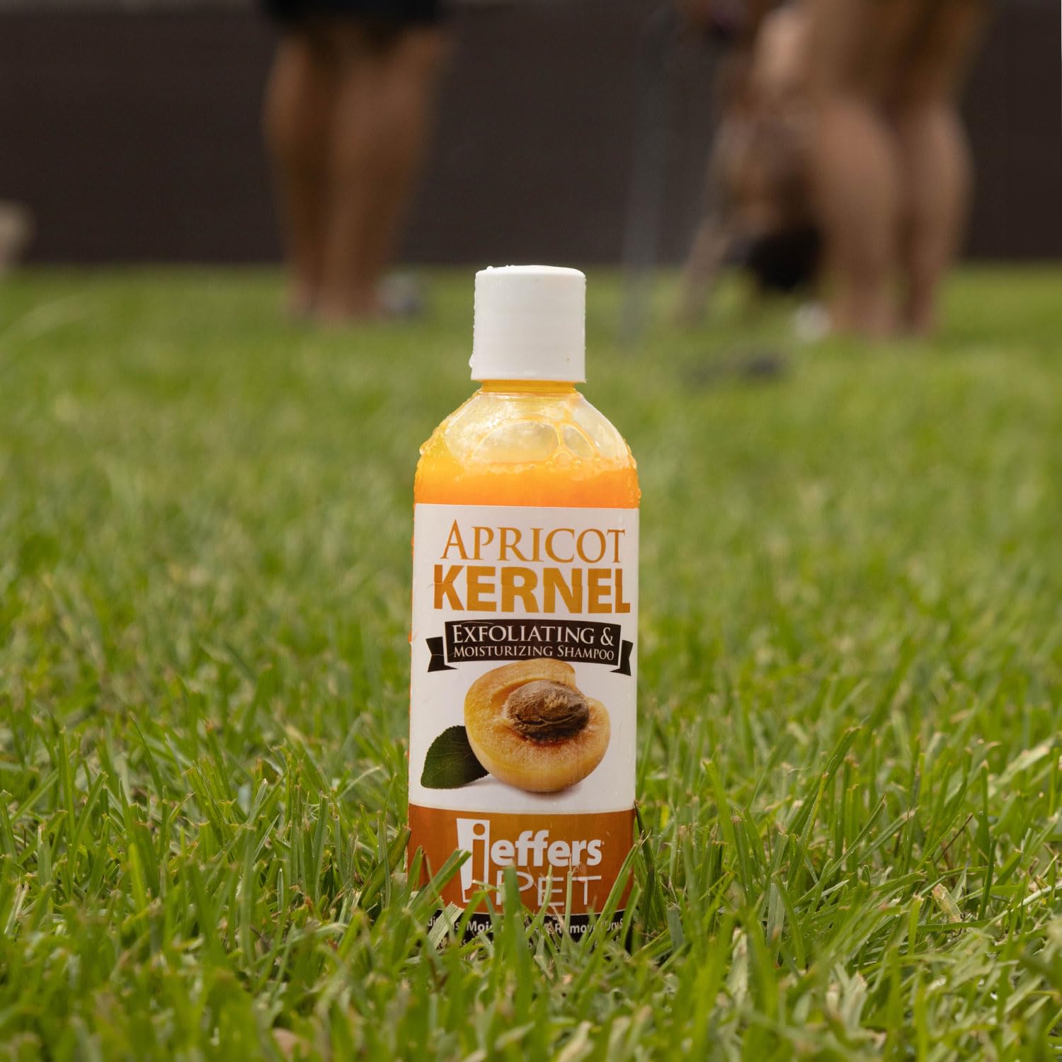 Jeffers Pet Apricot Kernel Shampoo - Detergent & Soap Free Exfoliating & Moisturizing Formula For Dogs, Cats, Puppies, Ferrets &