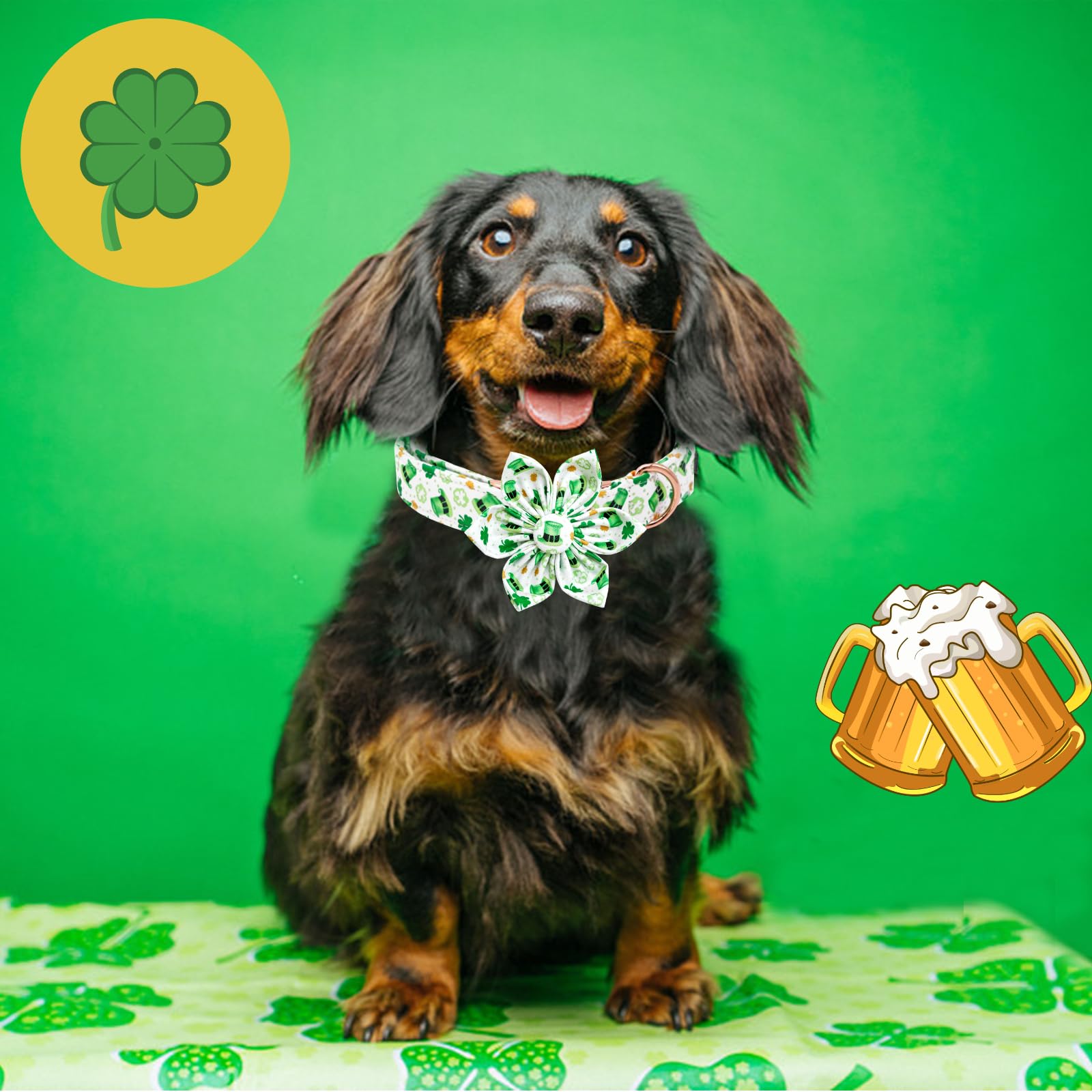Lionheart Glory St. Patrick'S Day Collar With Flower Bows For Medium Dogs, Green Lucky Clover Shamrock Collar