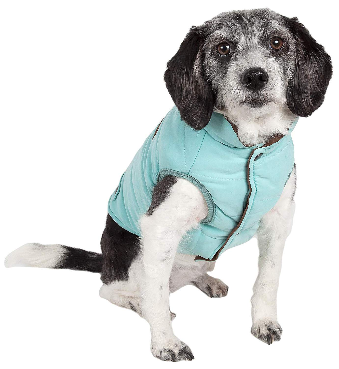 TOUCHDOG 'Waggin Swag' Fashion Designer Reversible 3M Insulated Pet Dog Coat Jacket, Small, Blue / Brown