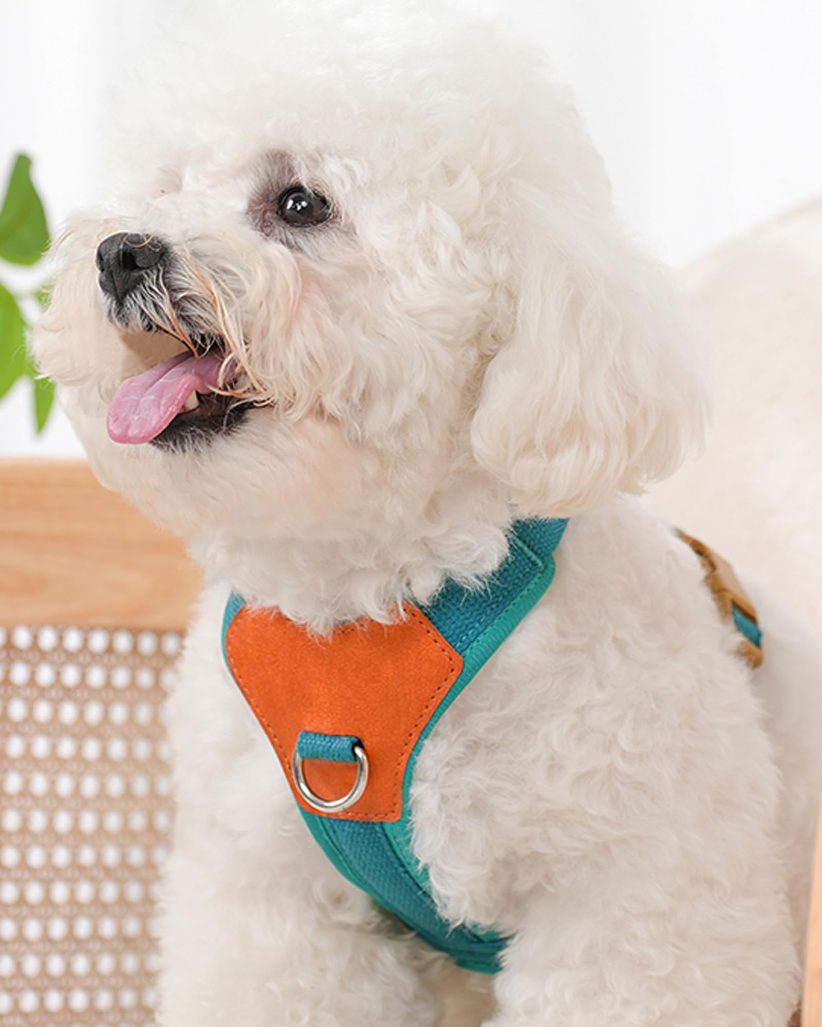 Blue Mediums Dog Harness For Medium Dogs, No Pull Dog Harness With 2 Leash Clips, Puppy Harness,Dog Vest Harness(Blue, M)