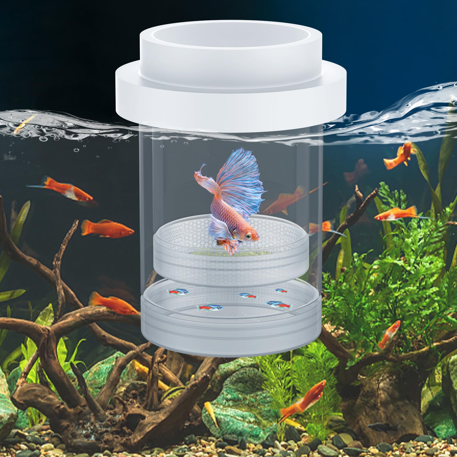 Pawfly Large Breeder Box For Fish Tank, Floating Guppy Breeder Box, Plastic Hatchery Incubator Isolation Box For Shrimp Betta Cl