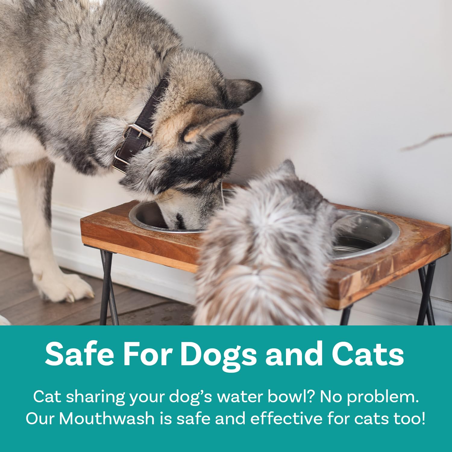 Dog Mouthwash, Dental Water Additive for Fresh Breath, Plaque & Tartar Control, Best Natural Cleaning Freshener Formula for Heal