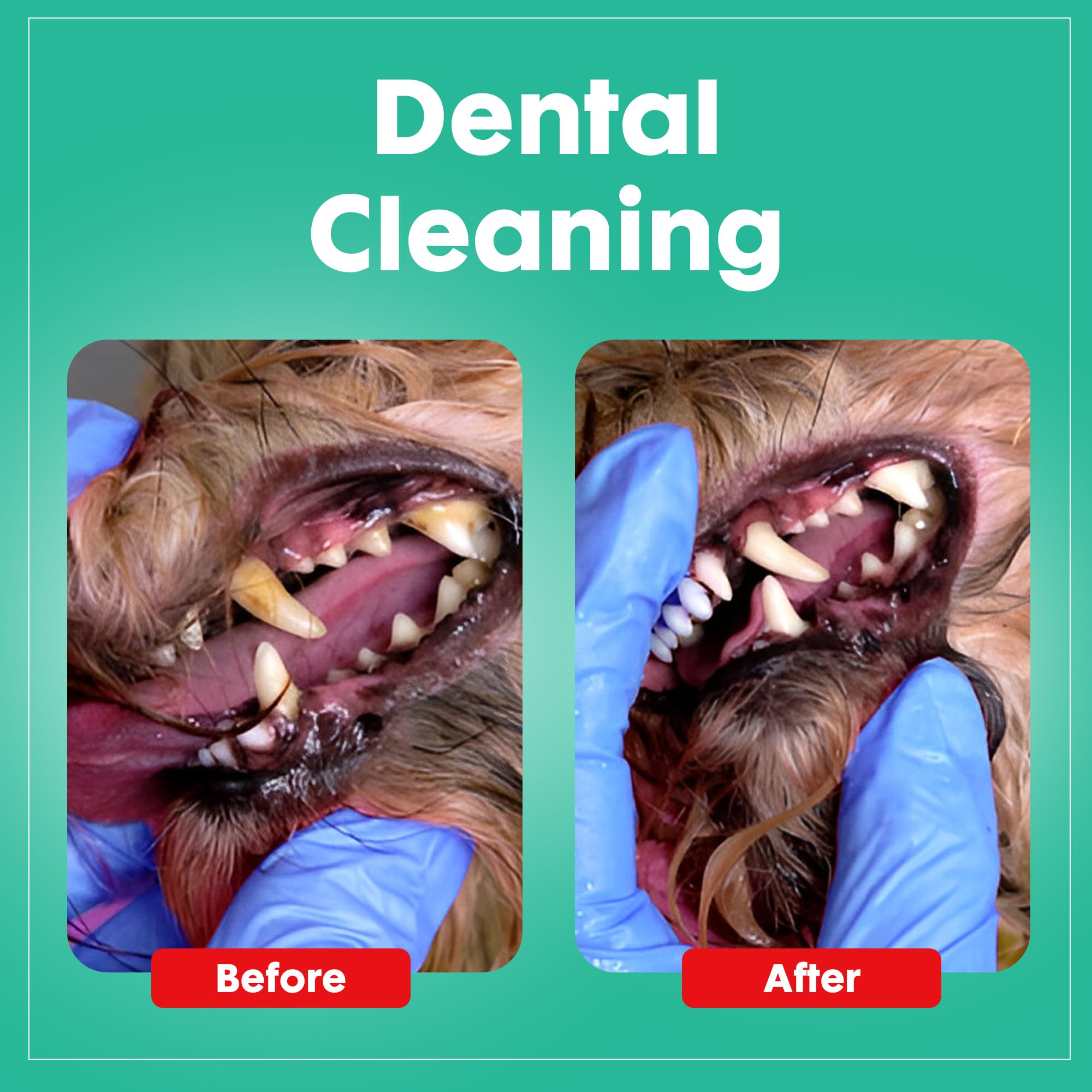 Dog Chew Toys For Aggressive Chewers - Treat Dispensing Chew Shoe Interactive Small Medium Dog Puzzle Toys, Dog Chew Enrichment Toys For Boredom And Brain Stimulating Game Keeps Them Engaged