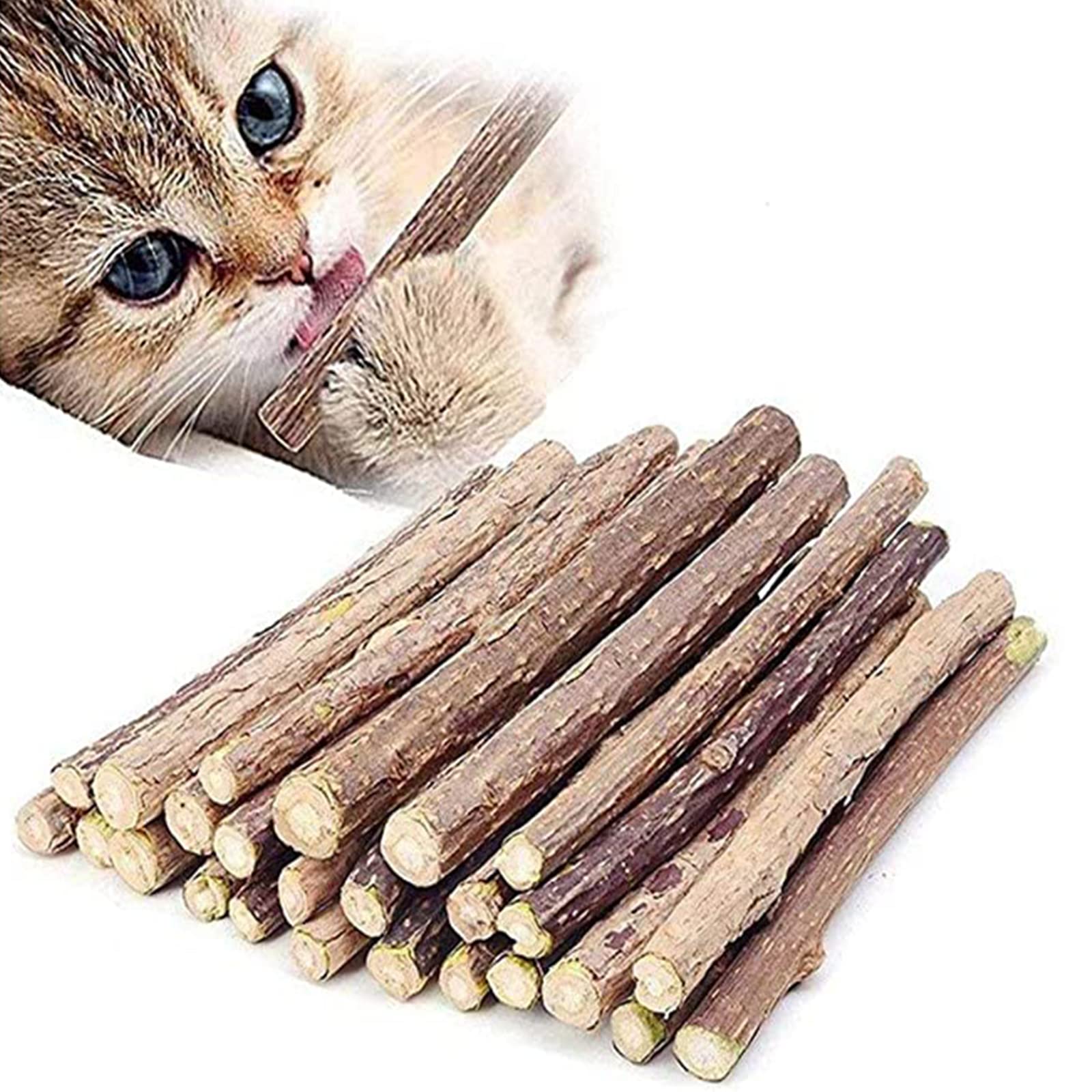 Ueerdand 50 Pcs Catnip Sticks Organic Cat Chew Toys Natural Plant Matatabi Silvervine Chew Sticks Cat Teeth Cleaning Chew Toy Cat Kitten Kitty
