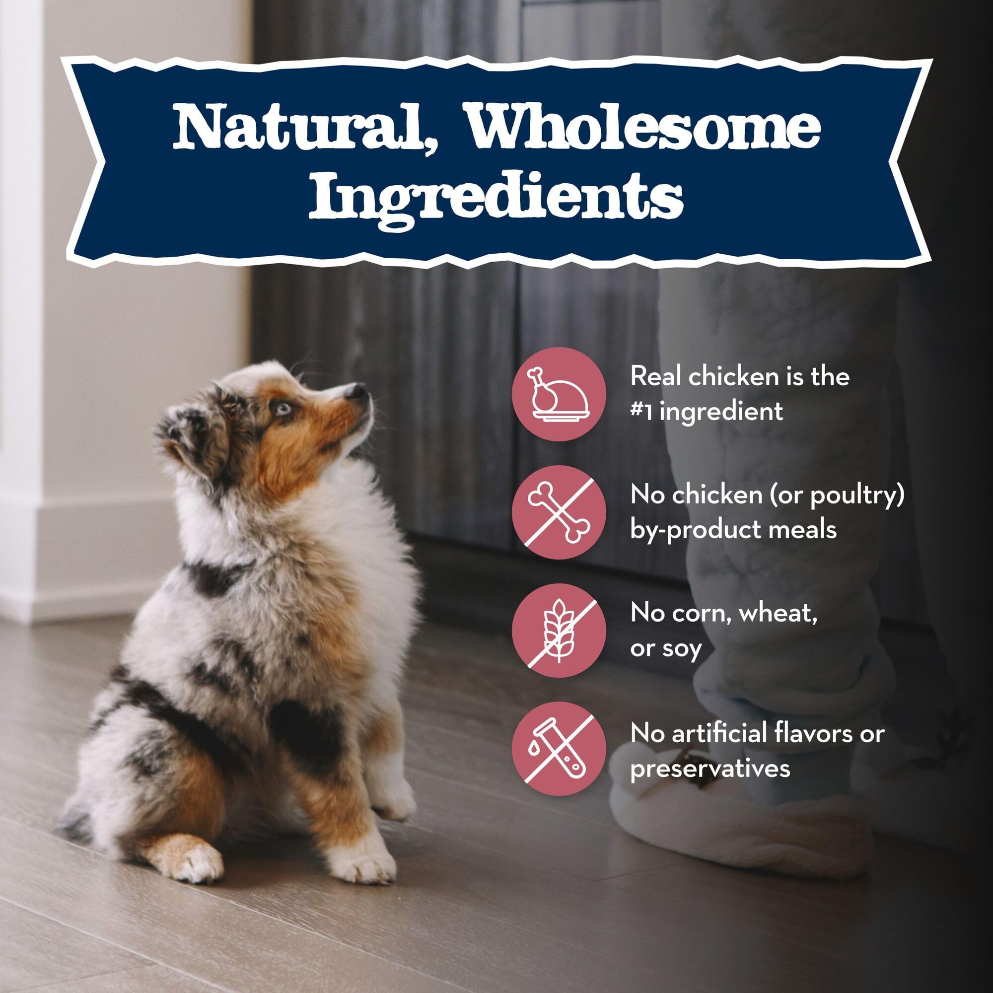 Blue Buffalo Baby BLUE Natural Small Breed Puppy Dry Dog Food, Healthy Growth Formula with DHA, Chicken and Oatmeal Recipe, 4-lb