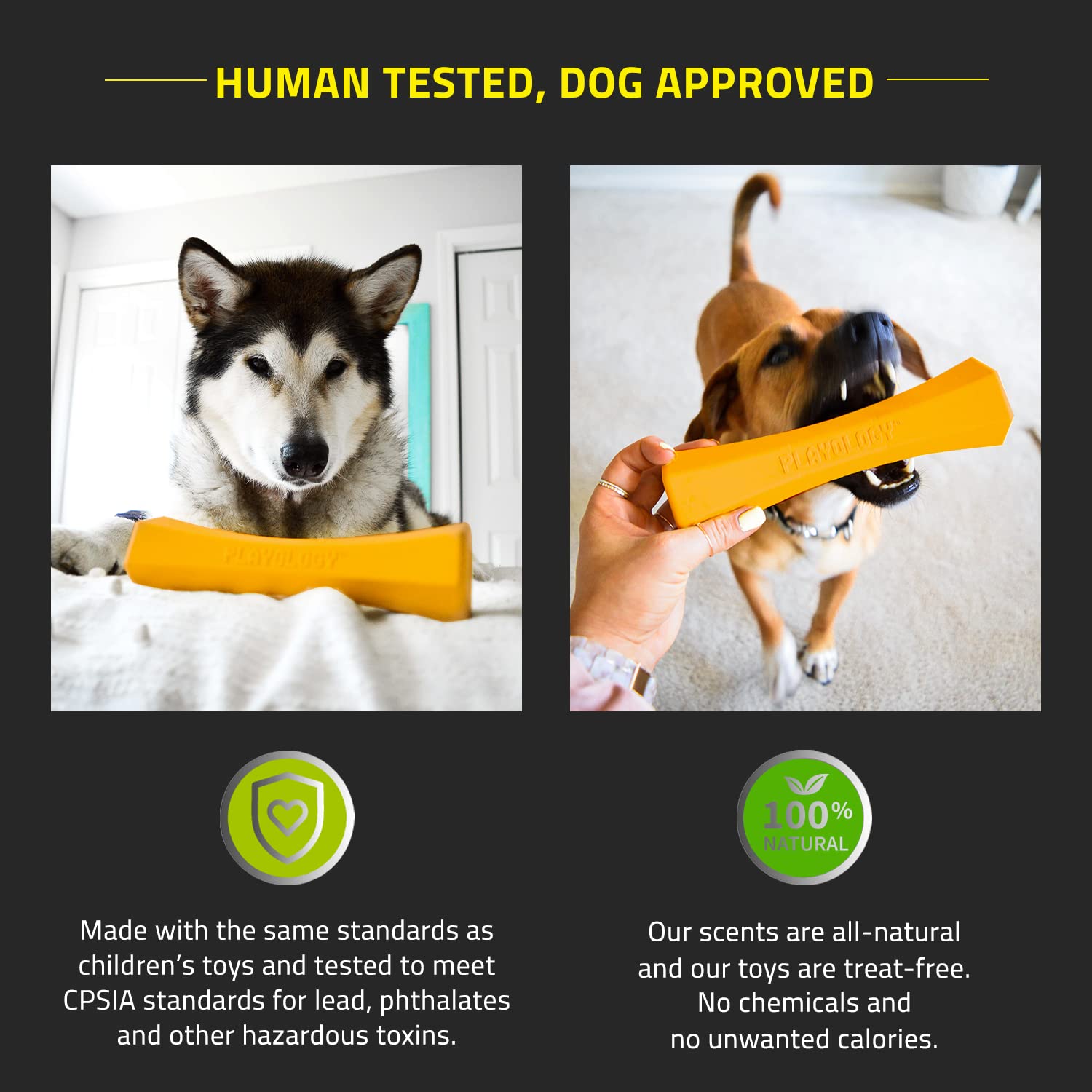 Playology Squeaky Chew Stick Dog Toy for Large Dogs - Cheddar Cheese Scented, Non-Toxic Rubber, Ideal for Moderate Chewers