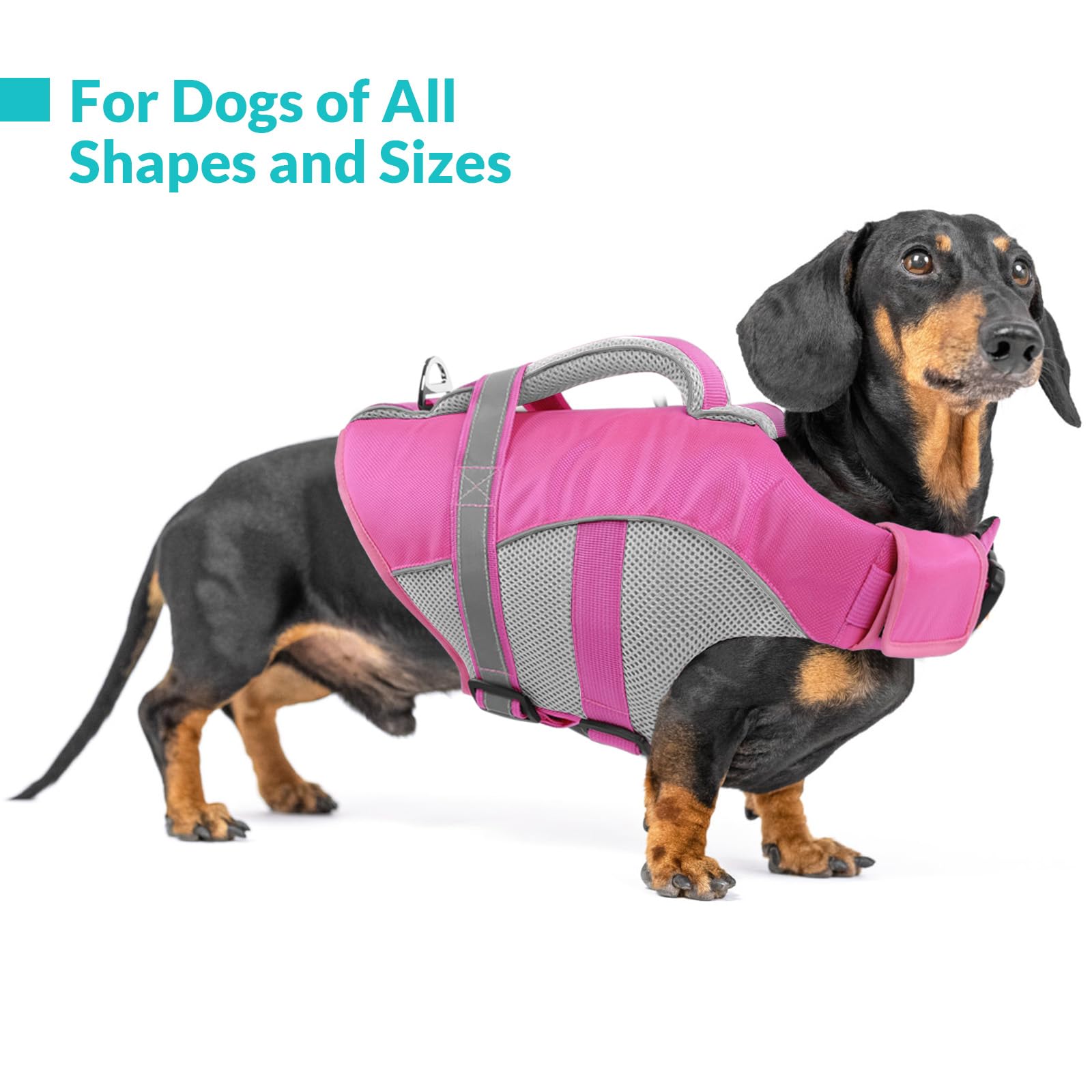 Queenmore Dog Life Vest For Swimming, Adjustable High Visibility Dog Life Jacket With Superior Buoyancy And Rescue Handle, Pink,