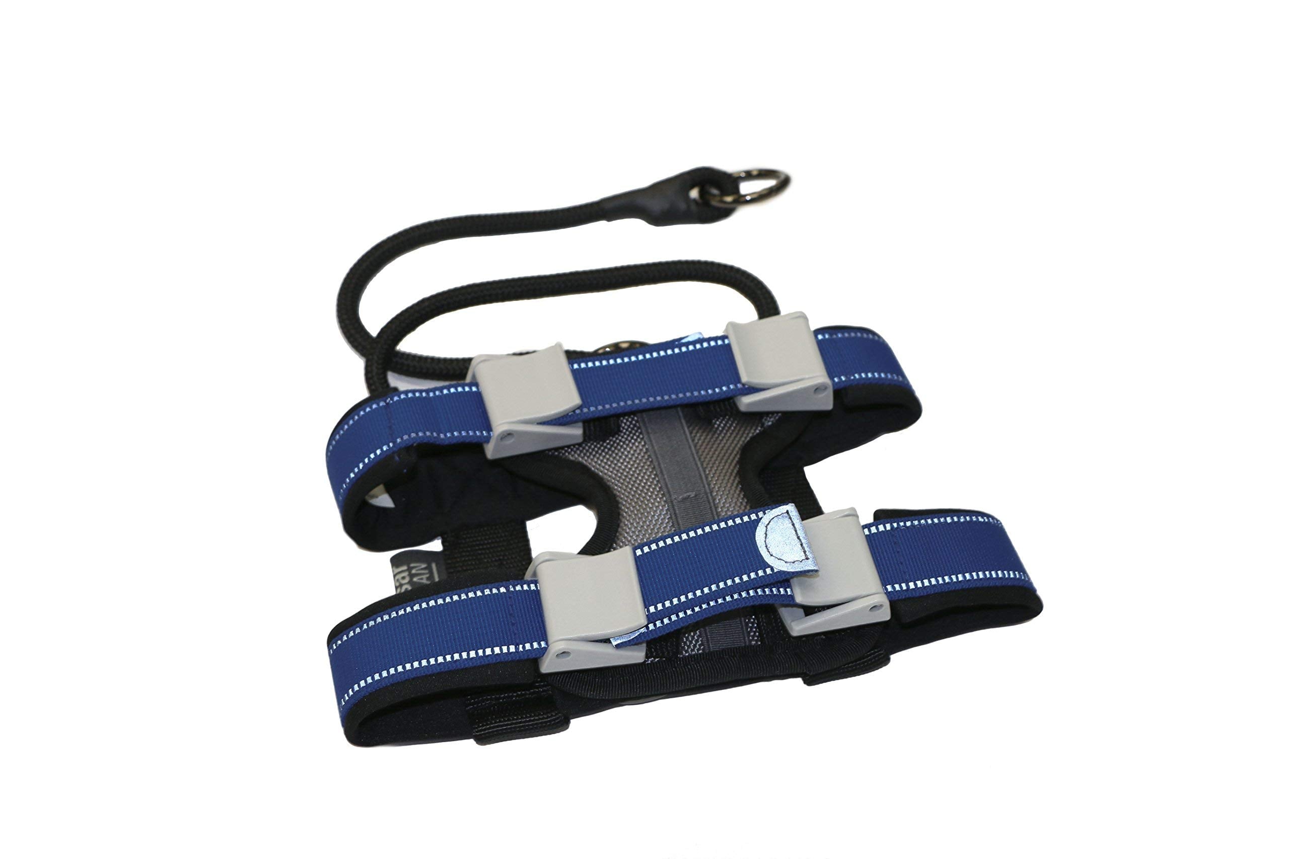 Cesar Millan Pack Leader Collar - Training Collar Of The Dog Whisperer (Small, Grey)