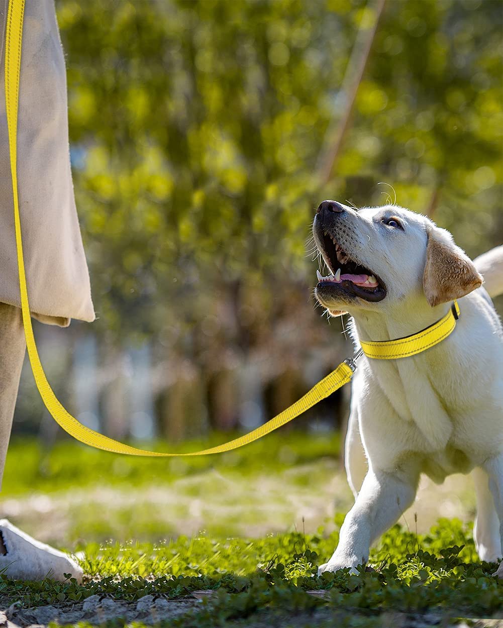 Joytale Double-Sided Reflective Dog Leash, 6 Ft/5 Ft/4 Ft, Padded Handle Nylon Dogs Leashes For Medium & Large Dogs Walking, Yellow, 5Ft