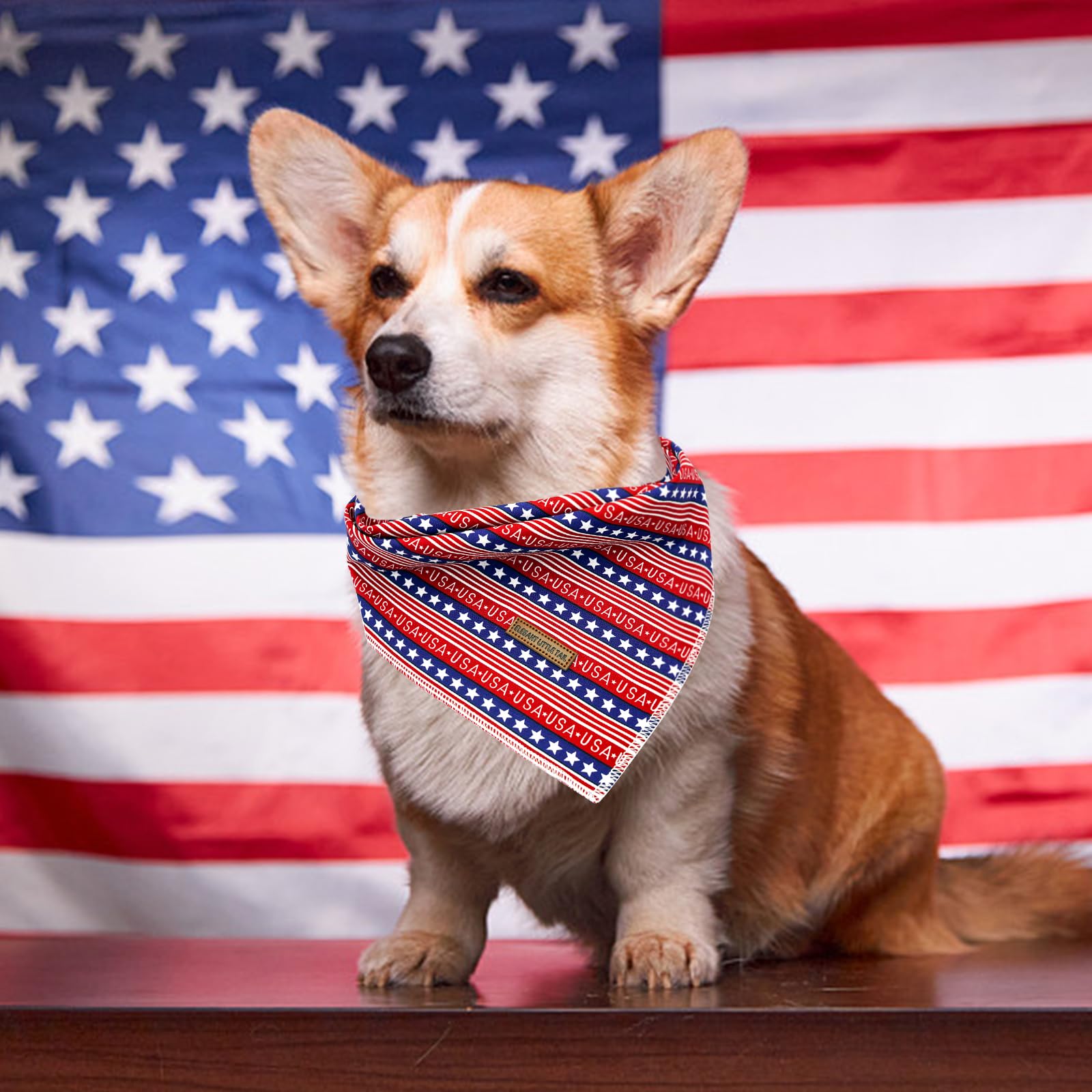 Elegant Little Tail Dog Bandana, Independence Dog Bandana 4Th Of July Adjustable Puppy Scarf Handkerchief Boy Girl Pet Bibs Scar