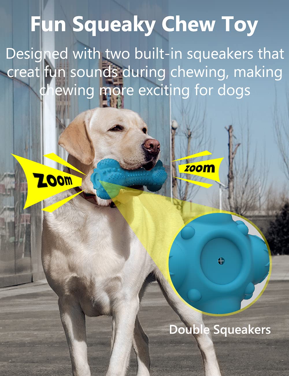 SCHITEC Two Squeaky Dog Chew Toy for Aggressive Chewers Large Breed, Tough Indestructible Rubber Bone with Toothbrush for Big Me