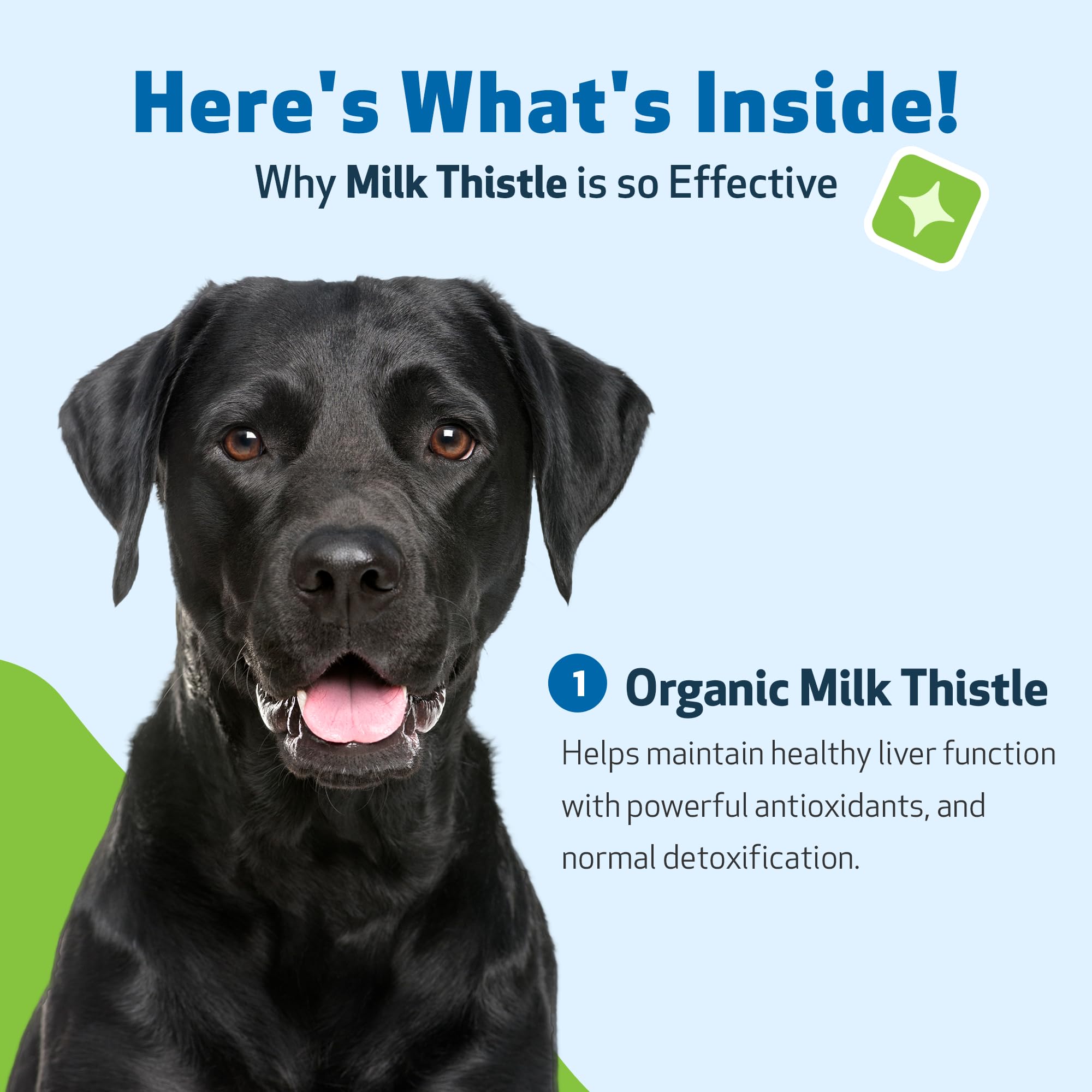 Pet Wellbeing Milk Thistle for Dogs - Organic, Supports Liver Health, Healthy Detoxification, Antioxidants, Liver Cell Support,