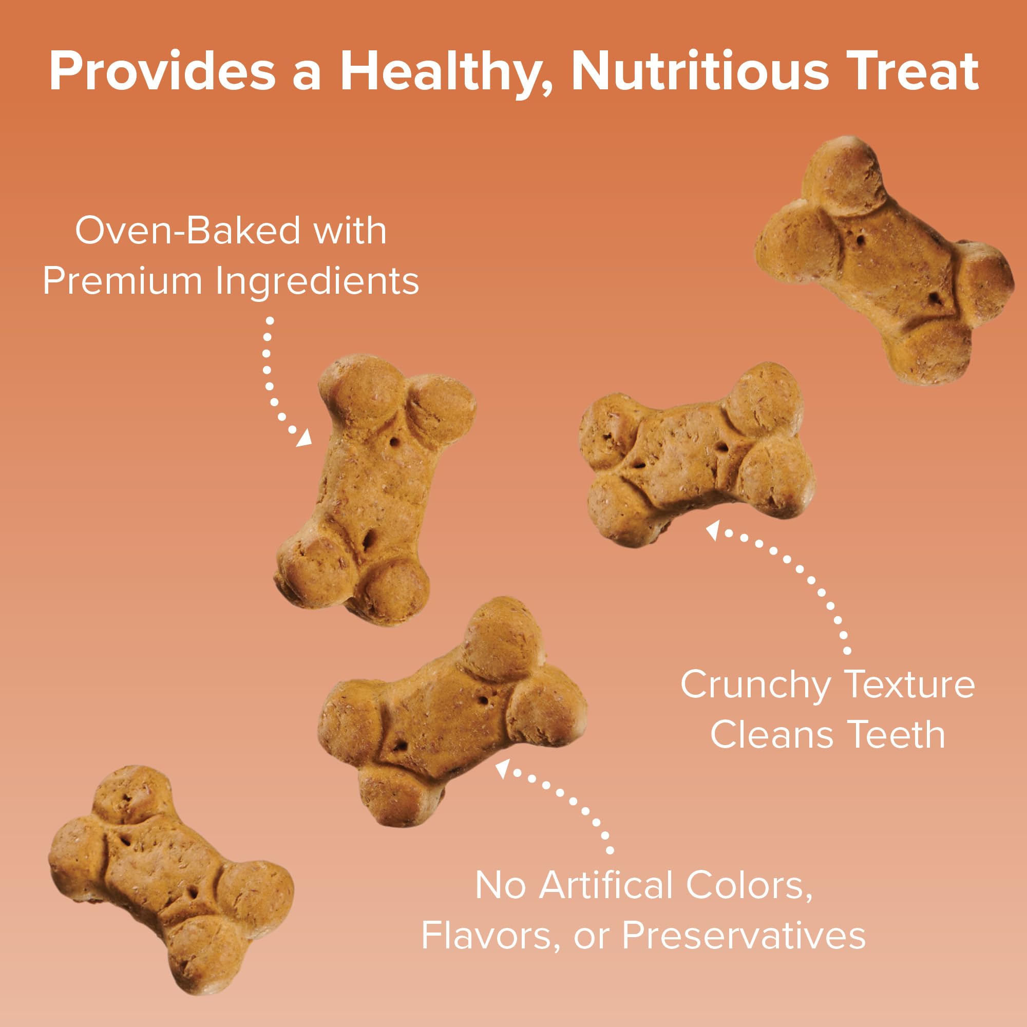 Blue Seal Kent Entrust Crunchers - Small Dog Treats, Peanut Butter Flavor - Crunchy Oven Baked Biscuits with Premium Ingredients