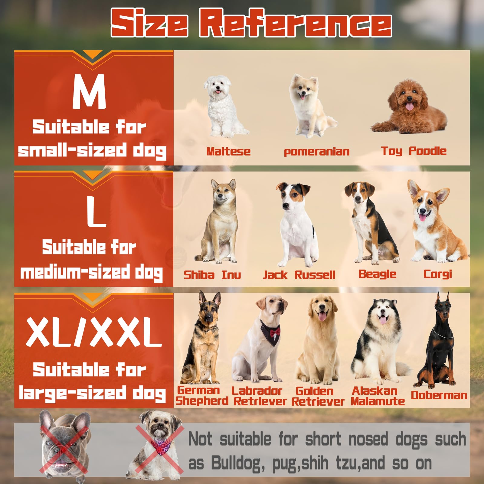 Dog Muzzle, Soft No Barking Mesh Muzzles For Medium Sized Dogs Anti Chewing, Breathable No Bite Muzzle For Mini Dachshund Jack R