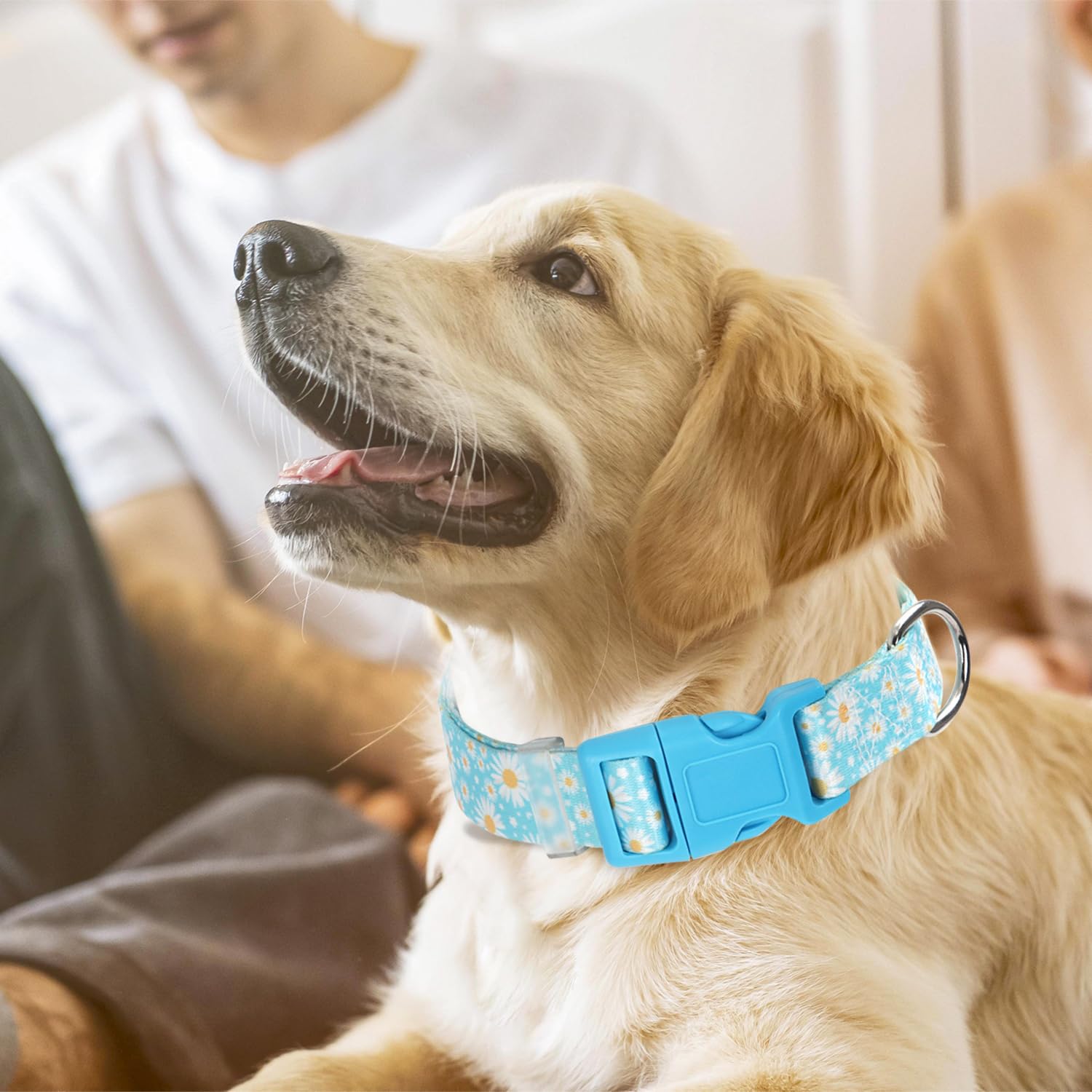 Dog Collars For Large Dogs With Blue Daisy Flowers Floral Design For Boy Girl Dogs, Adjustable Comfy Soft Pet Collar With Safety