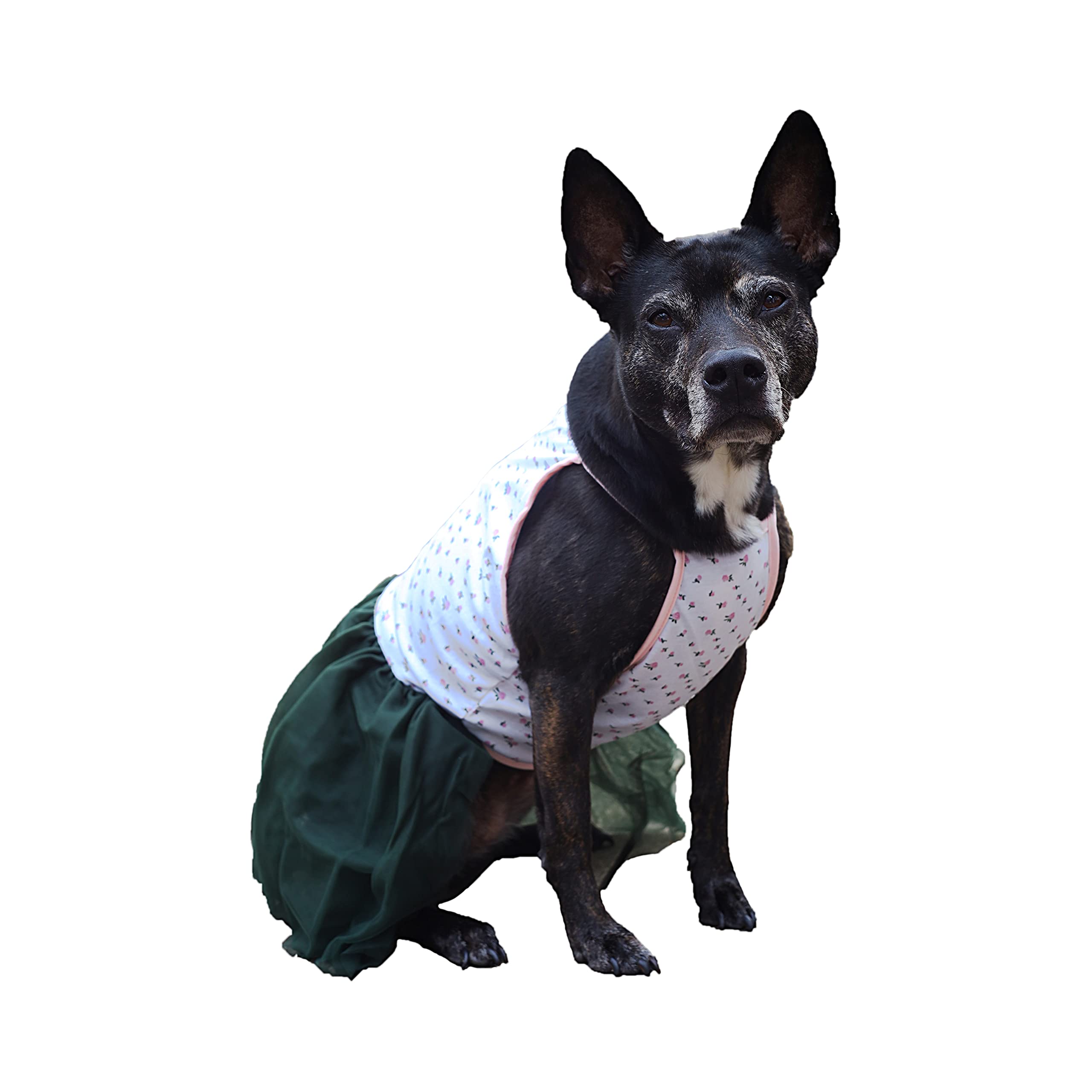 Midlee Pink Rose Tutu Large Dog Dress (Xx-Large)