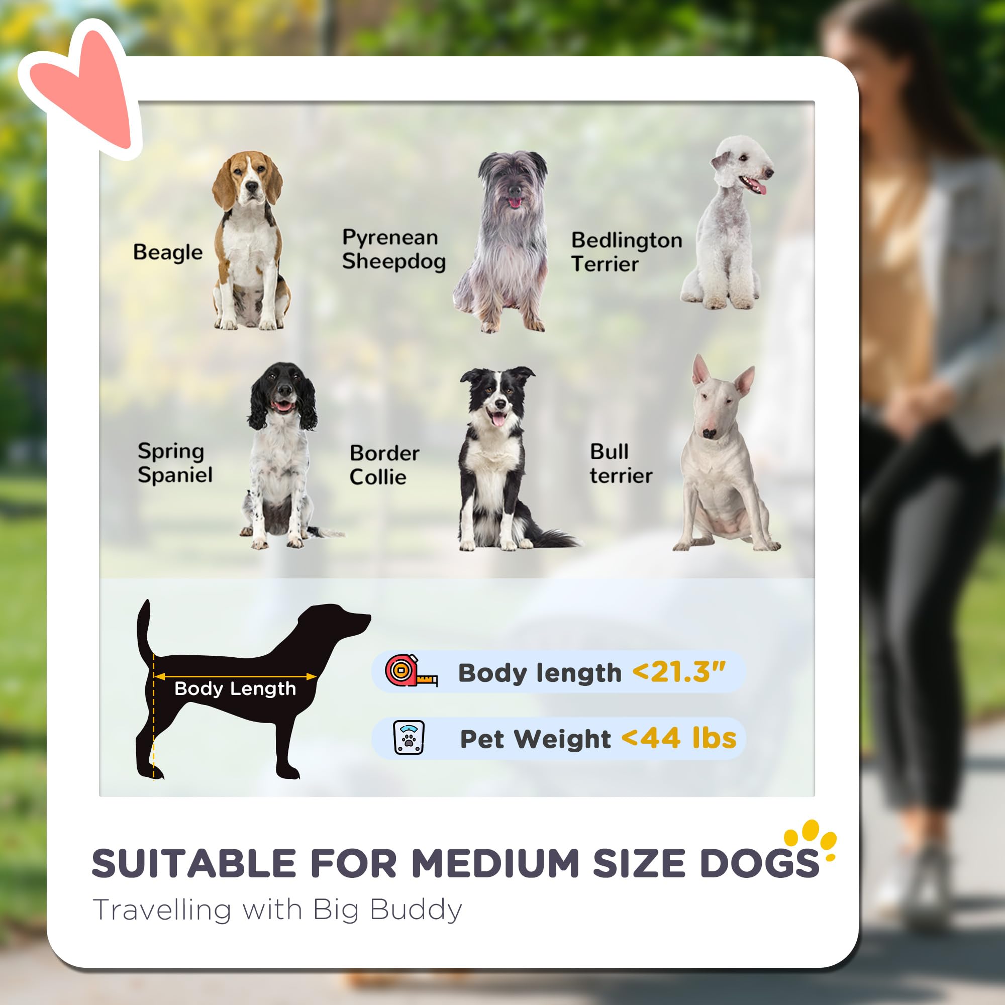 Pawhut Dog Stroller, Pet Stroller 3 Wheels With Easy One-Hand Fold, Rubber Wheels, Storage Bag, Soft Cushion, Safety Leash, For