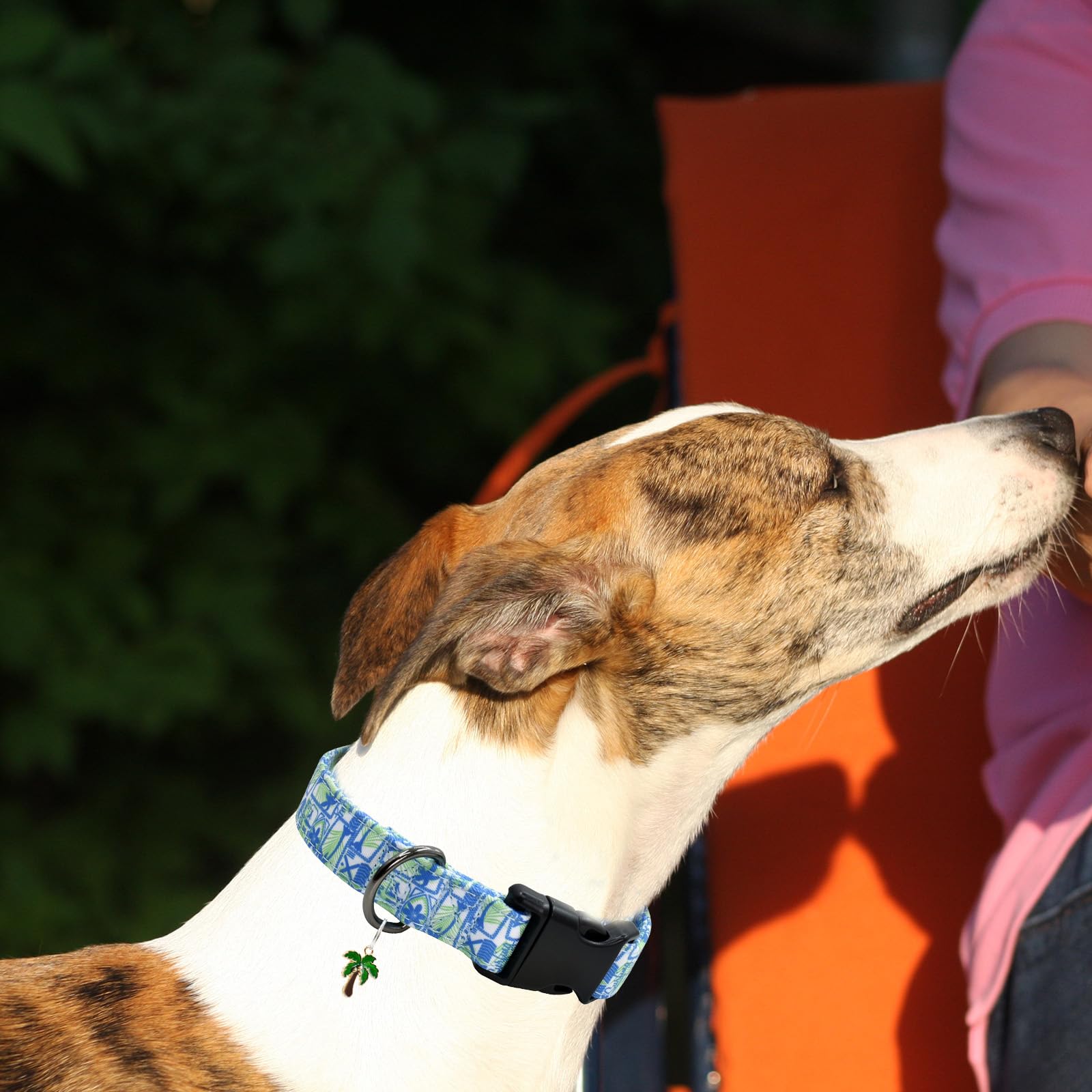 Flower Patterns Dog Collar With Accessories, Soft Cotton Dog Collars For Small Medium Large Female And Male Dogs(Palms Tree M)