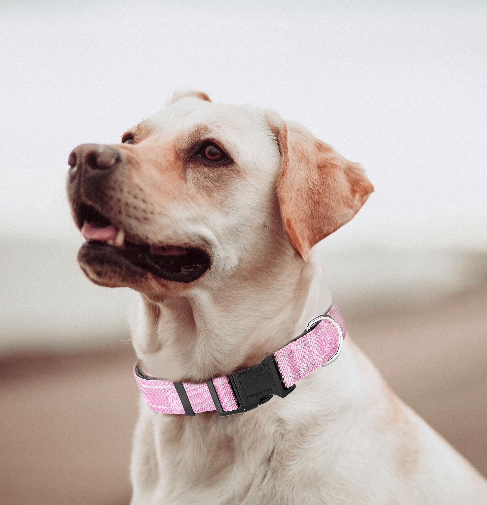 Large Dog Collar, Reflective Pet Collar With Buckle Adjustable Safety Nylon Collars For Small Medium Large Dogs, Light Pink