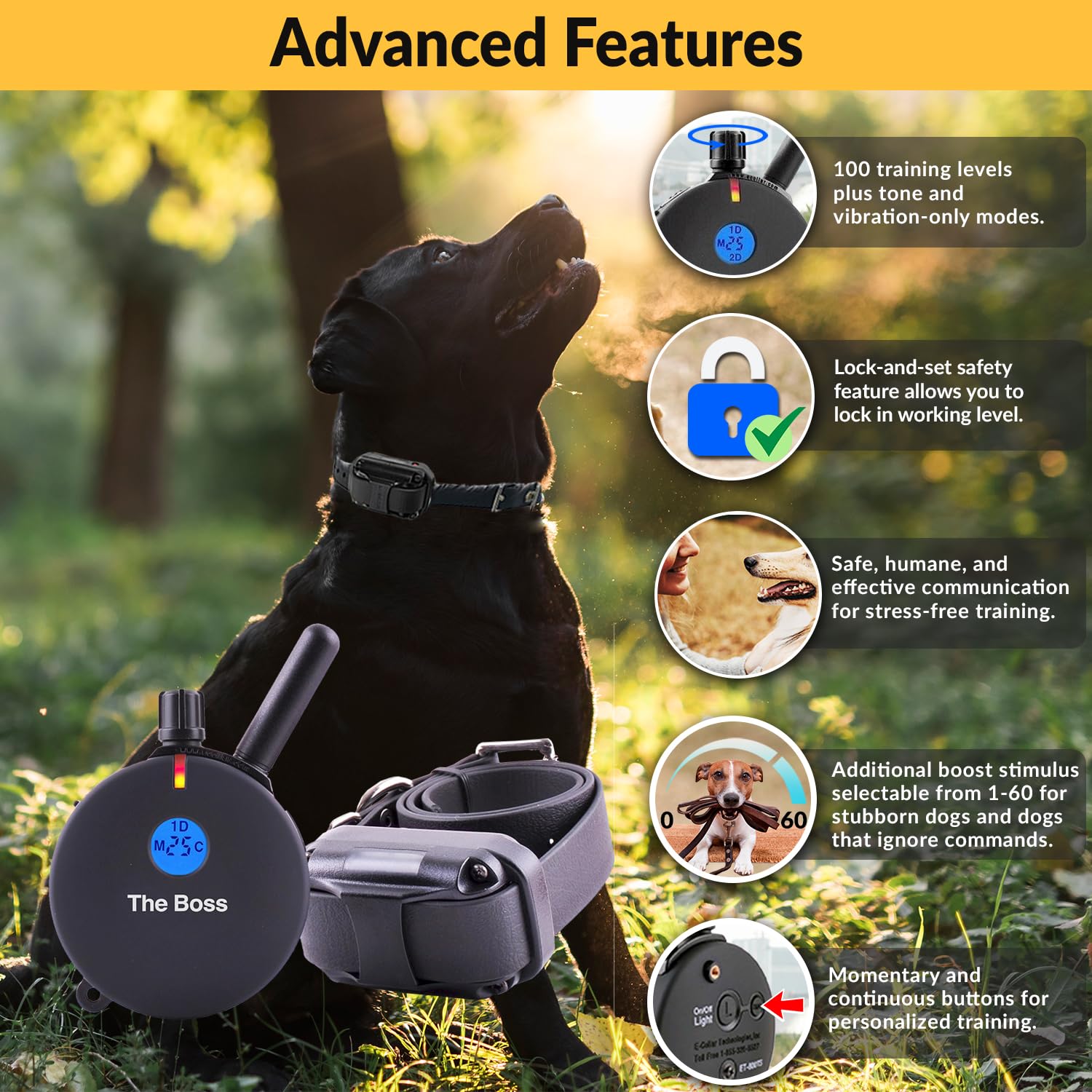 Educator E-Collar Humane Dog Training Collar With Remote, Features 100 Levels Of Safe Stimulation, Tapping Sensation, Night Light, Waterproof, Rechargeable, 1 Mile 1 Dog, Black