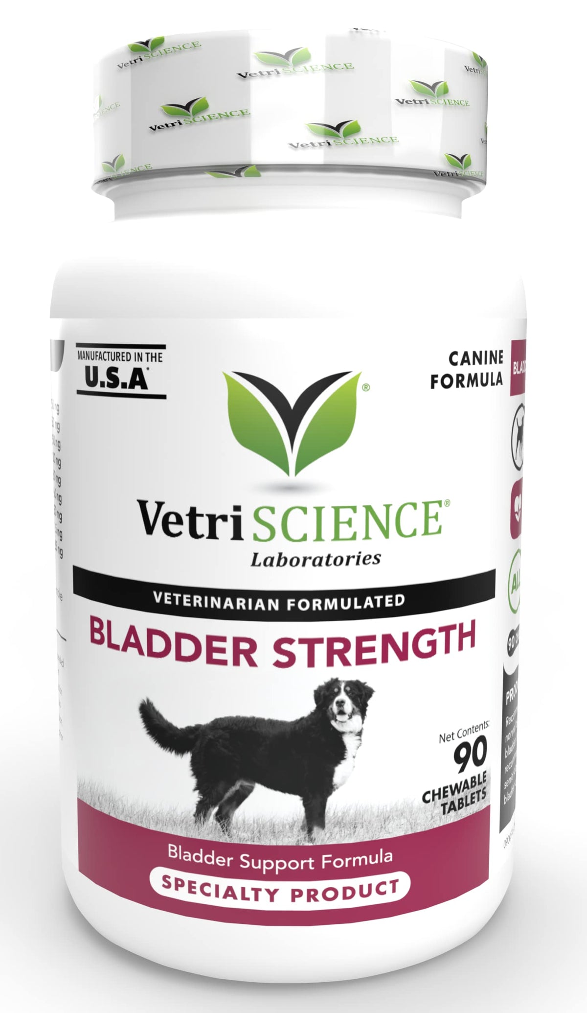 Vetriscience Bladder Strength Supplement For Dogs - Vet Recommended Bladder Supplement For Spayed And Senior Dogs, Ut Health, Bladder Control, Prevent Bladder Crystals And Stones