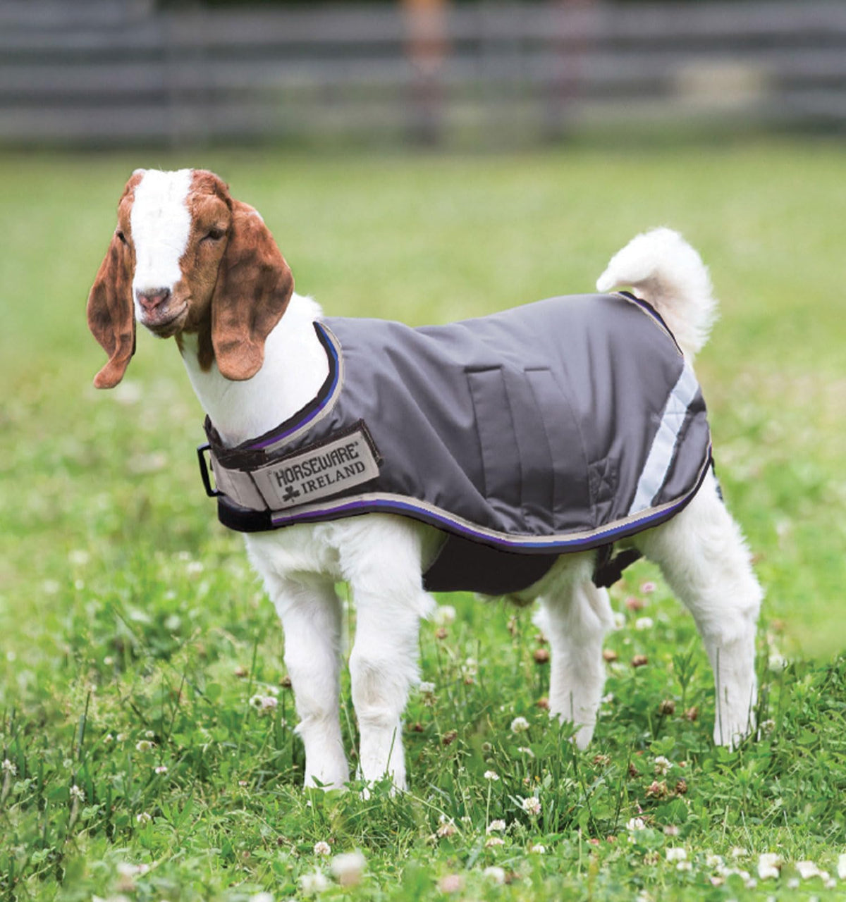 Horseware® Goat Coat (100G Light)