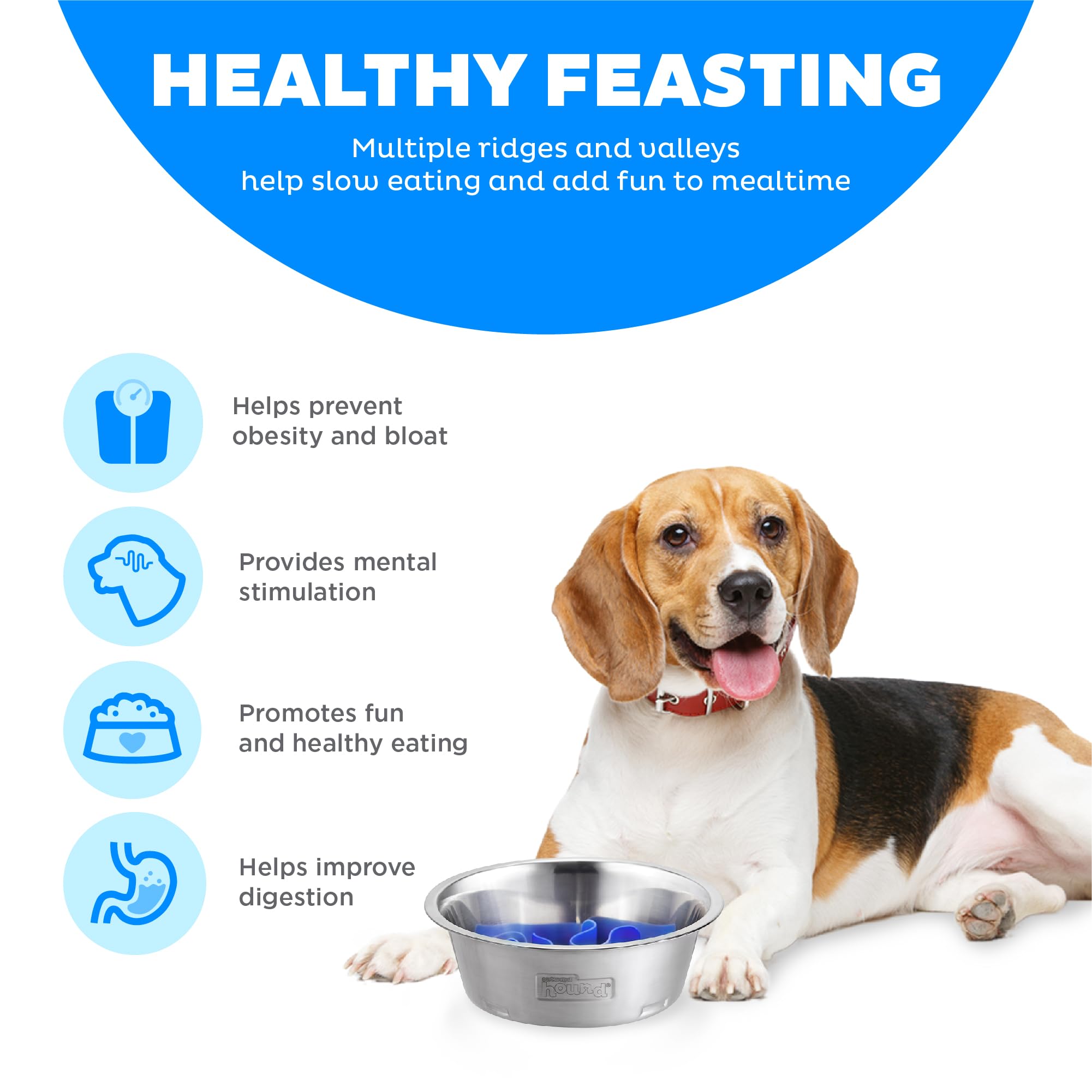 Outward Hound Stainless Steel Slow Feeder Bowl, Plastic Puzzle Maze for Fast Eaters, Small to Medium Dogs, Helps Prevent Bloat &