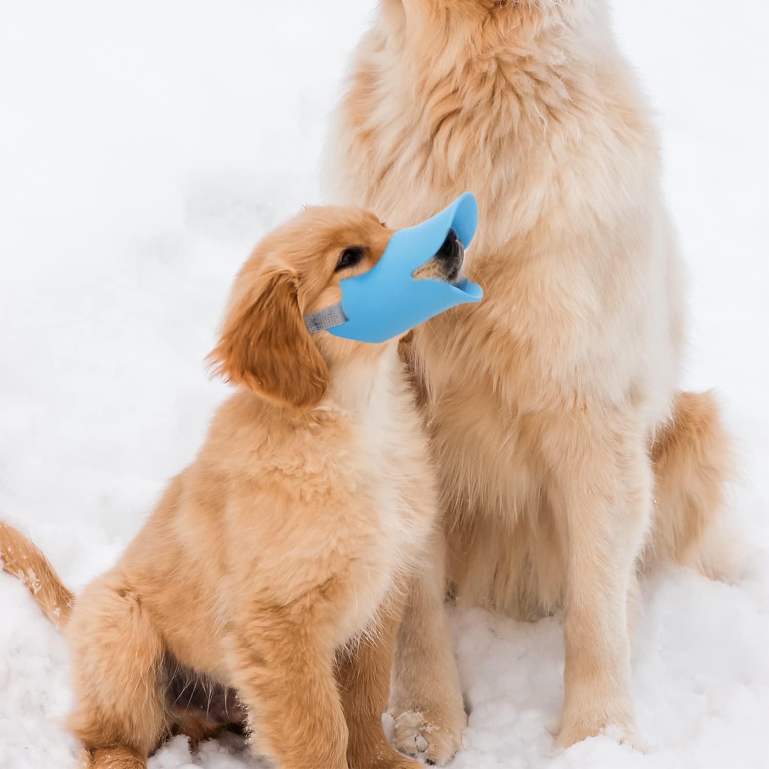 Nacoco Anti Bite Duck Mouth Shape Dog Mouth Covers Anti-Called Muzzle Masks Pet Mouth Set Bite-Proof Silicone Material (Blue, S)