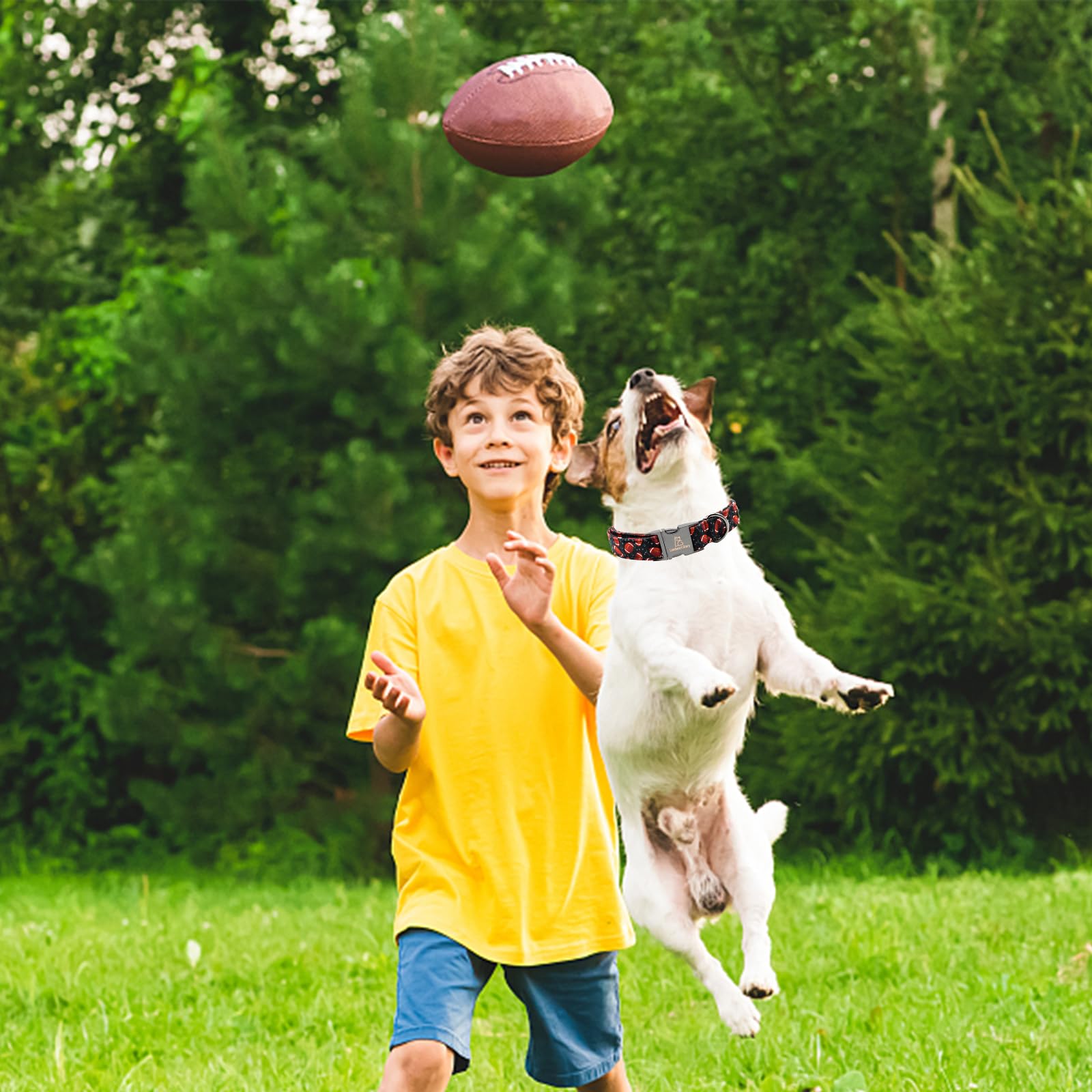 Lionheart Glory Dog Collar Rugby Print Dogs Collar Boy Cute Collars Dog Soft Durable Adjustable Comfortable Handmade Dog Collars