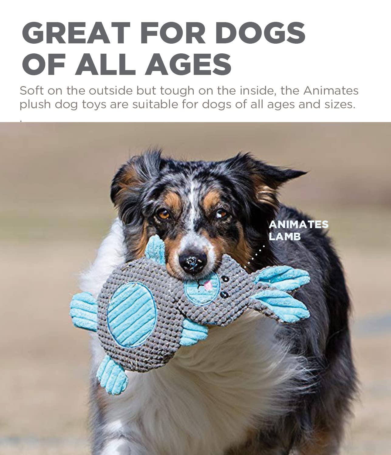 Outward Hound By Charming Pet Animates Lamb Plush Squeaky Dog Toy