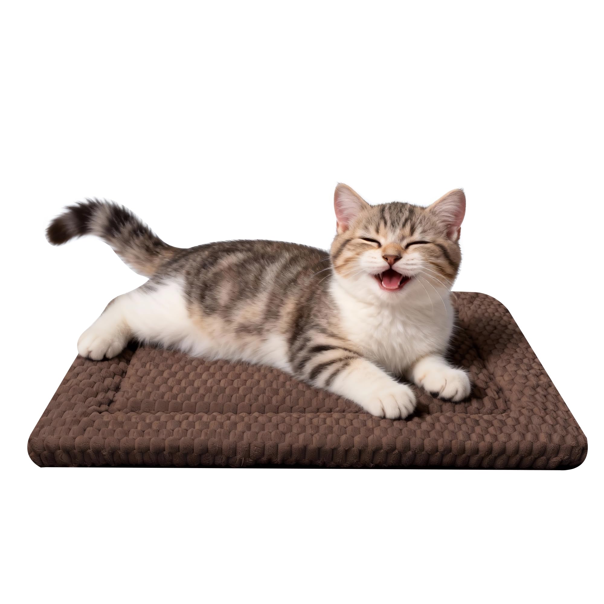 Dog Bed Mat - Soft & Comfortable Dog Kennel Pad for Crate - Durable Crate Bed & Mat for Dogs & Cats (Dark Brown, XS(18*14*1.5))