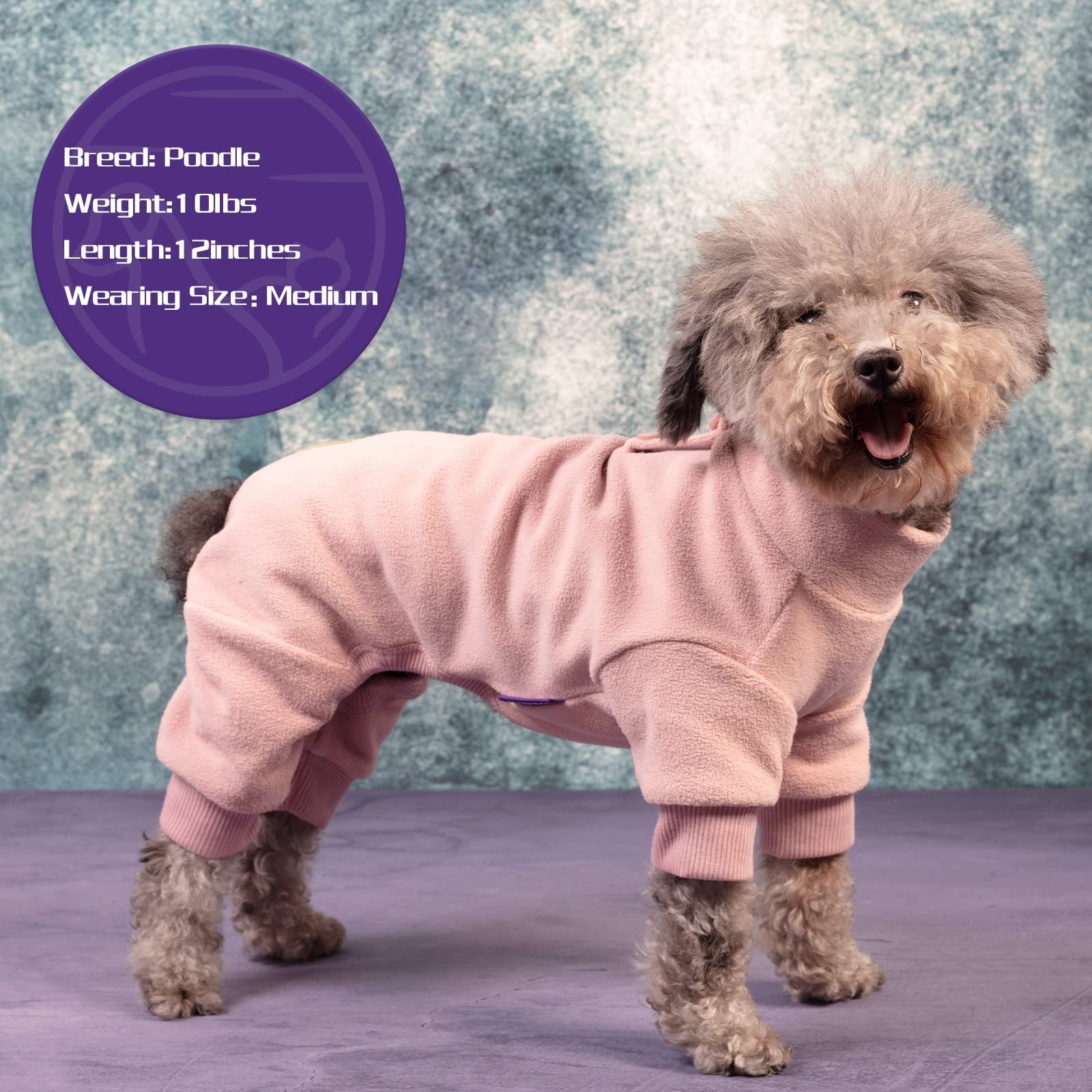 Cyeollo Dog Pajamas Small Winter Dog Coat Warm Fleece Dog Pjs Thermal Dog Onesie Stretchy Pet Jumpsuit Puppy Jacket Cat Apparel,