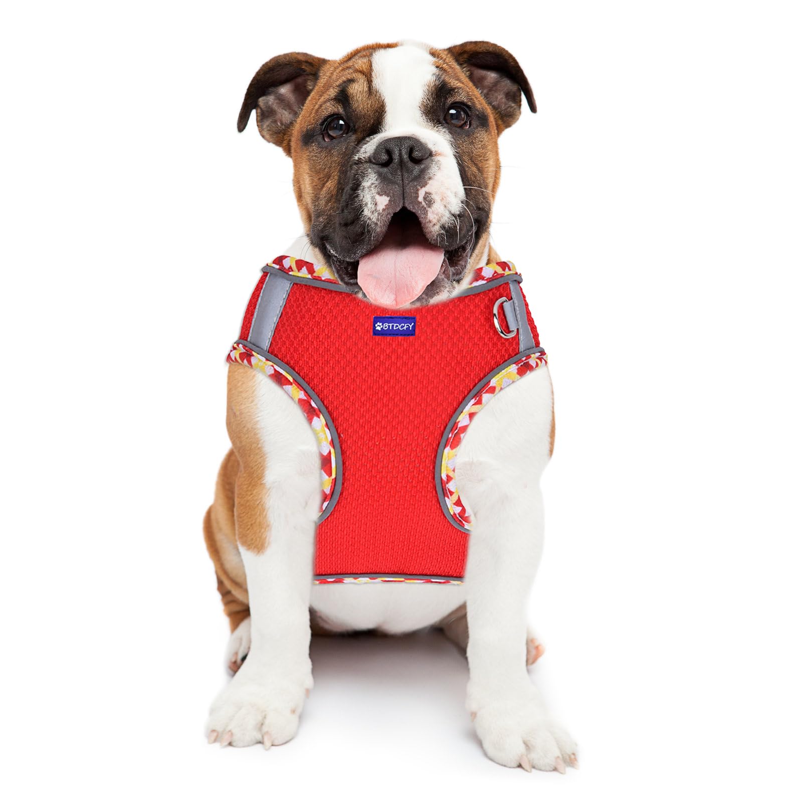 Btdcfy Step-In Mesh Dog Harness And Leash Set - Breathable, Reflective, Escape-Proof Vest - No Choke, Lightweight - Red