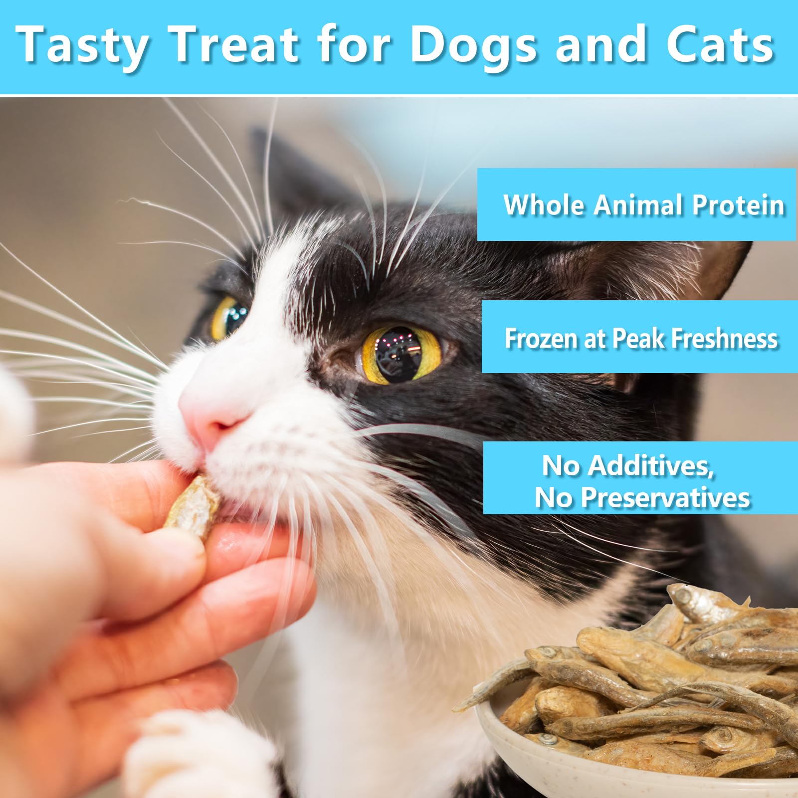 JADINGSFARM Minnows - 6.5 oz Freeze Dried Minnows, Premium Cat & Dog Treat