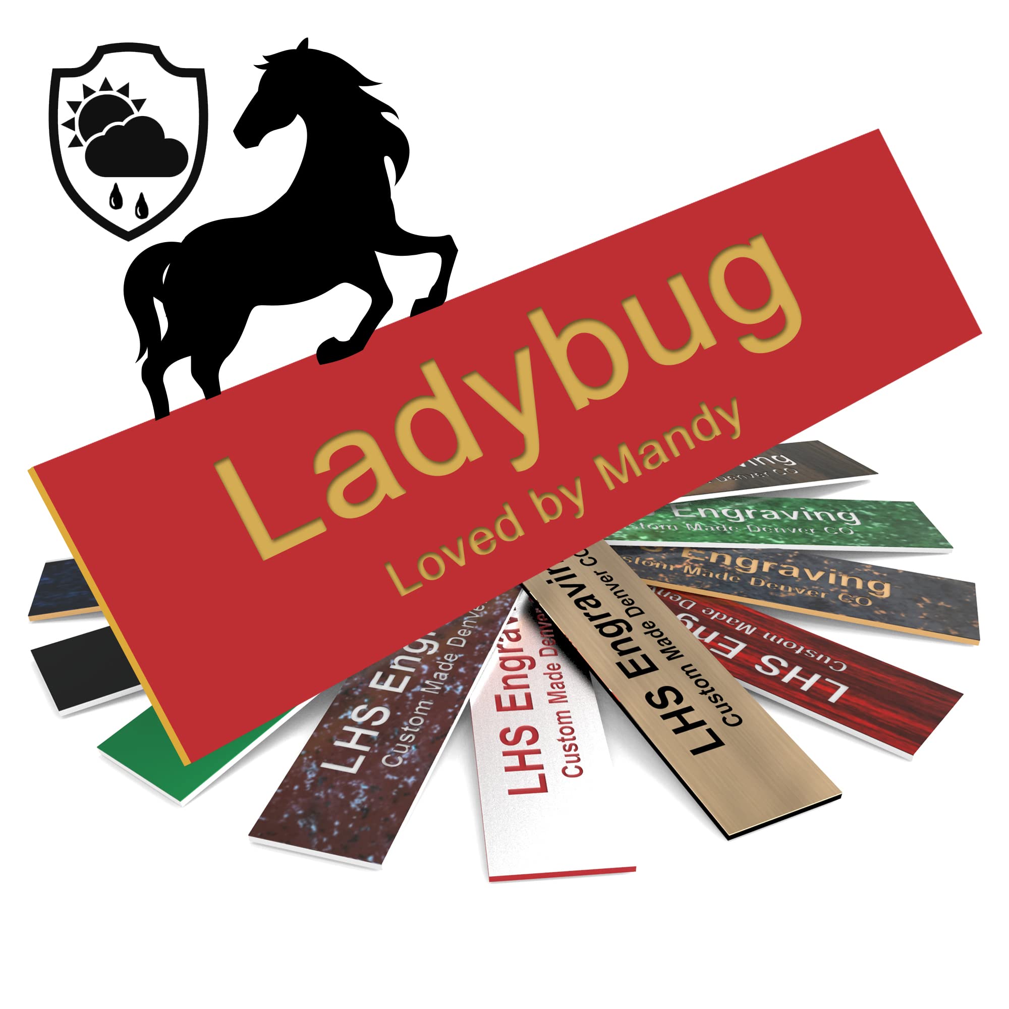 Lhs | Personalized Horse Stall Name Plates, 2X12 Horse Stall Signs With Adhesive, All Weather Uv Protected, Red Plastic Gold Let