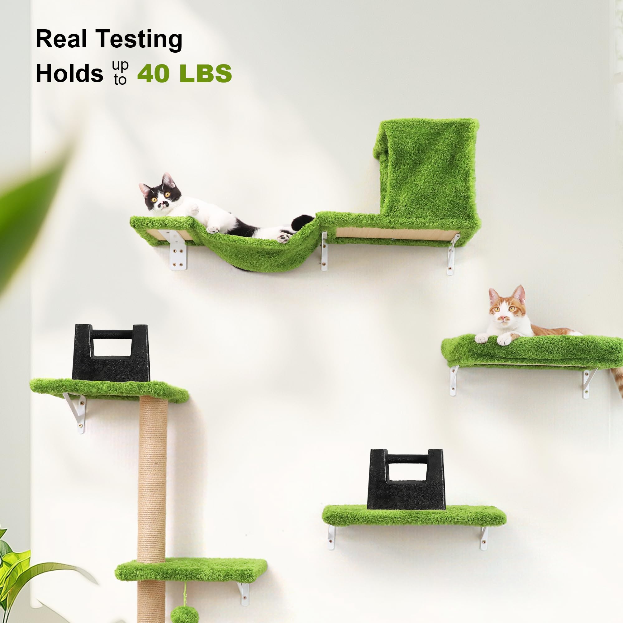 Fukumaru Cat Wall Shelves, Stable & Safe 4 In 1 Cat Furniture Set, Wooden Climbing Wall With Scratching Post, Bridge And Bed, St